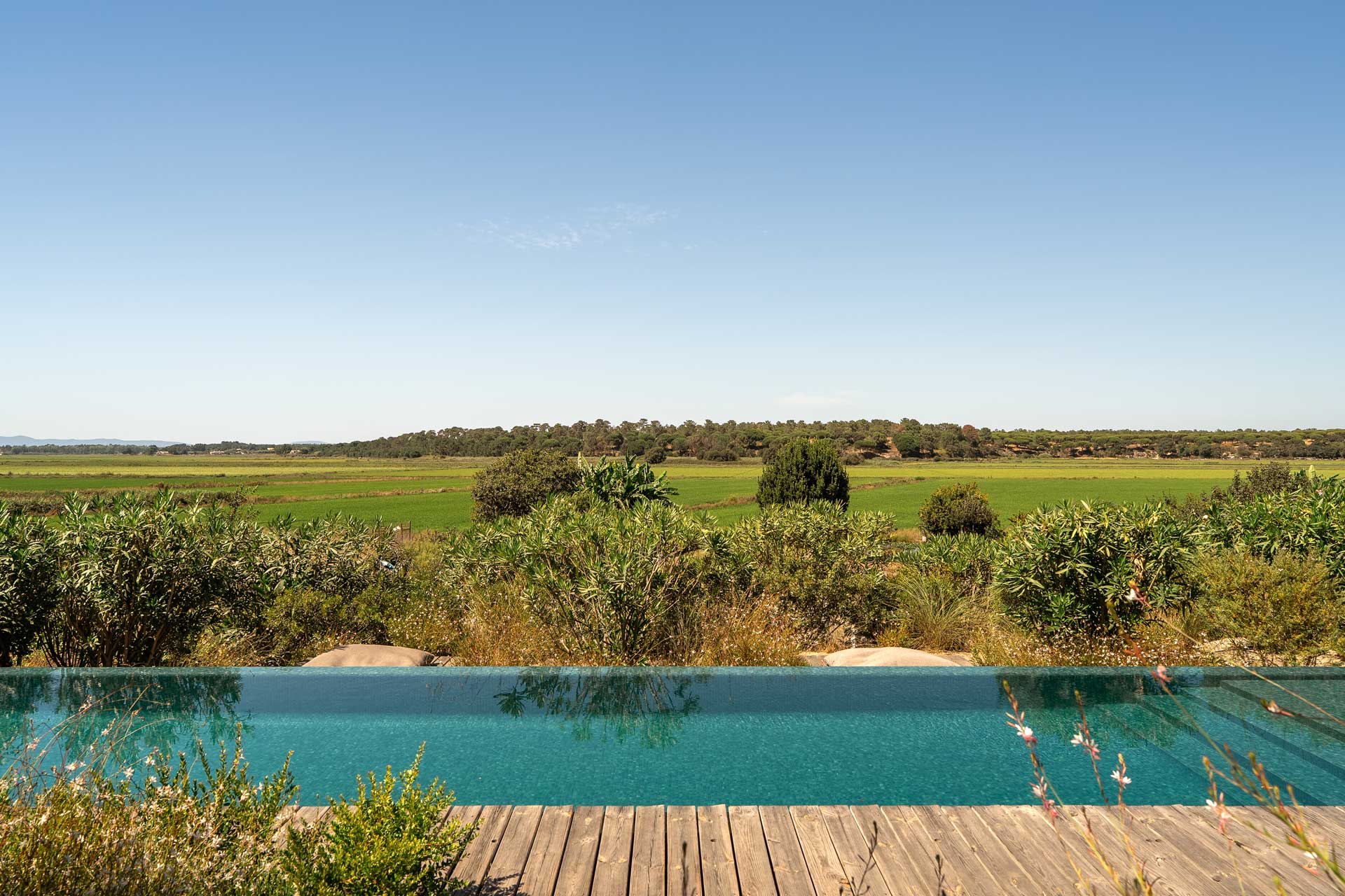 villa-ricefield_villa_comporta-portugal_exterior-pool-view-design.jpg