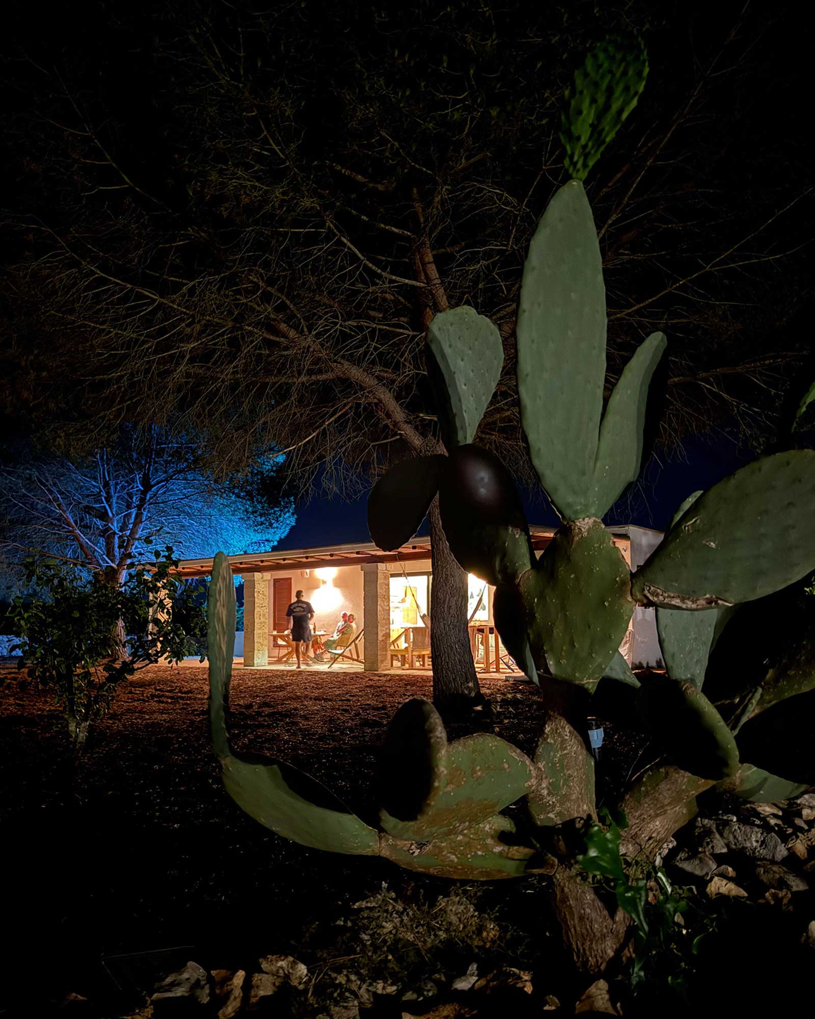la-fuga-salento_estate_puglia-italy_exterior-night-cacti.jpg