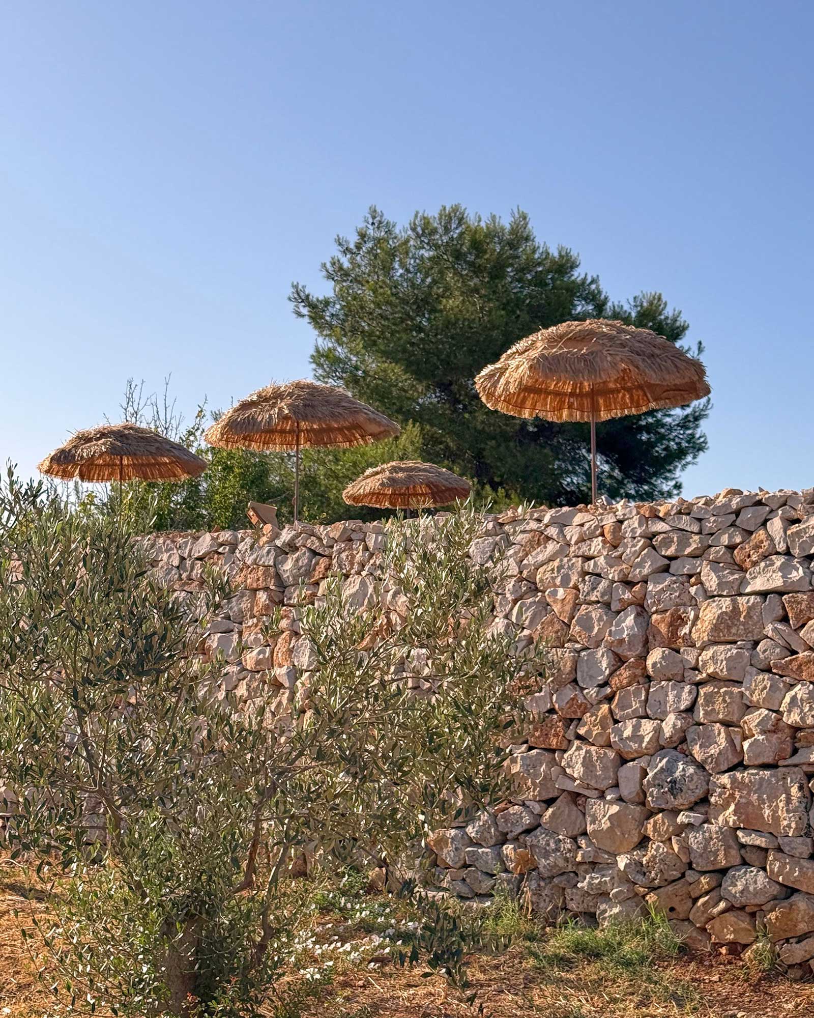 la-fuga-salento_estate_puglia-italy_exterior-design-detail.jpg