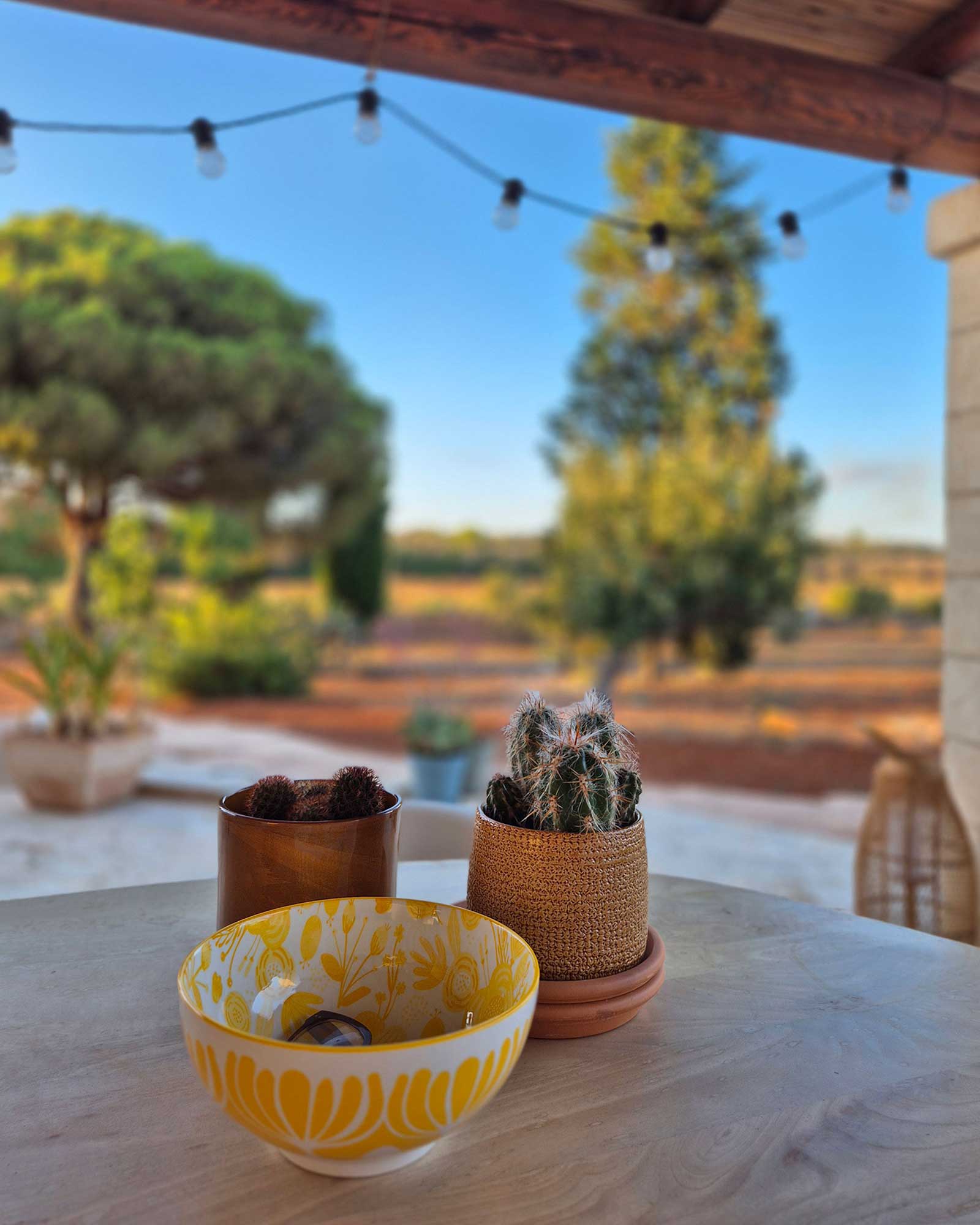 casa-di-mandorla_villa_puglia-italy_exterior-table-detail.jpg