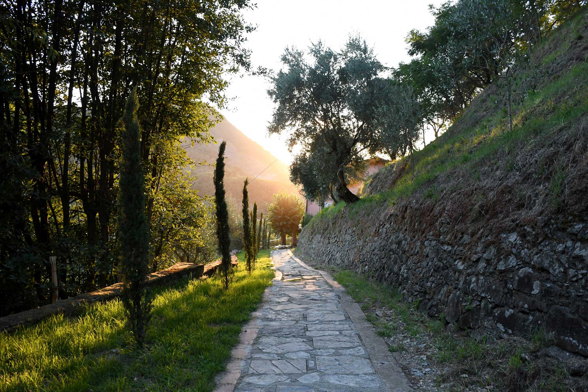 villa-mia_villa_toscana-lucca-italy_exterior-sunset.jpg