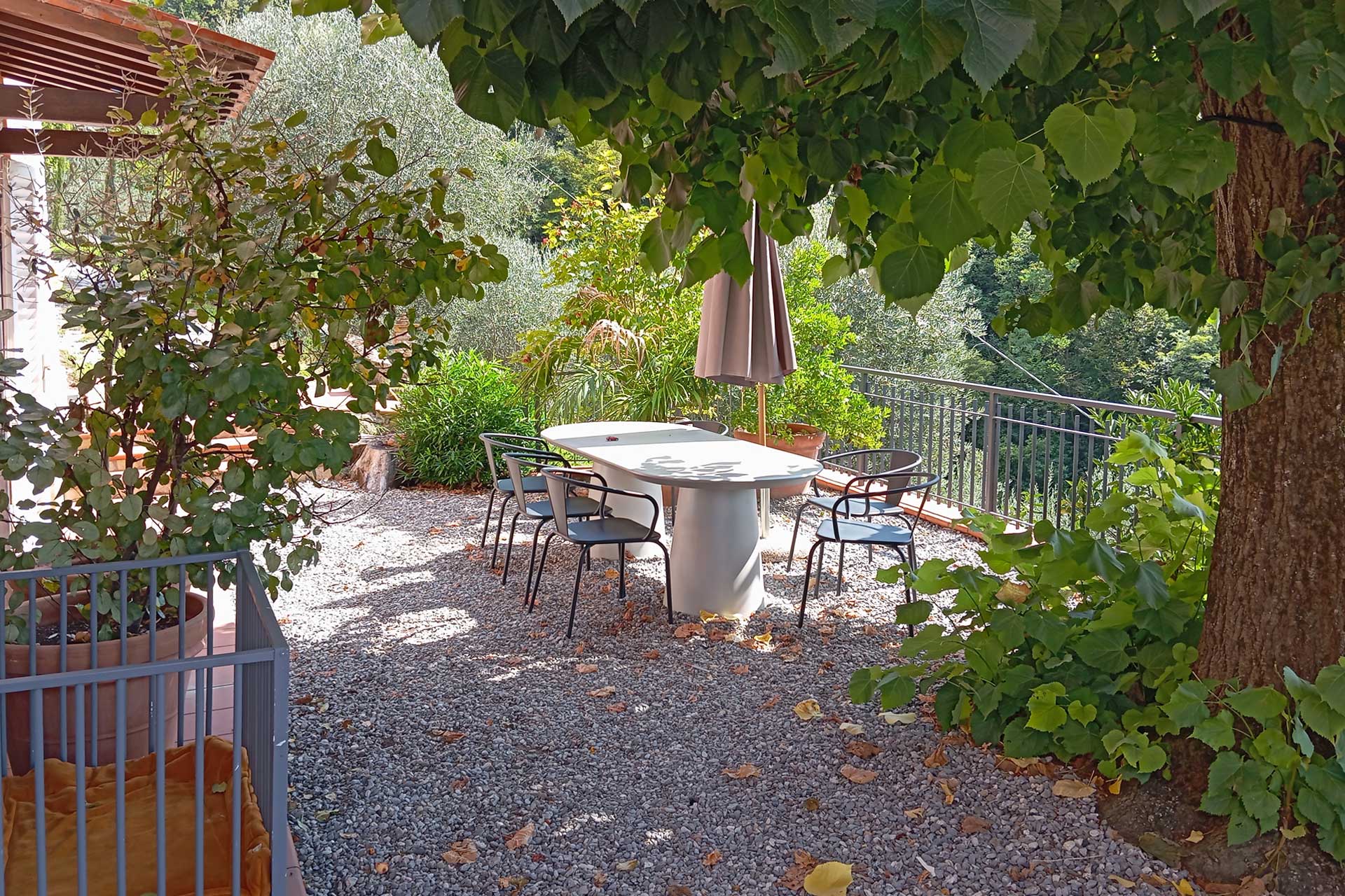 villa-mia_villa_toscana-lucca-italy_exterior-table.jpg