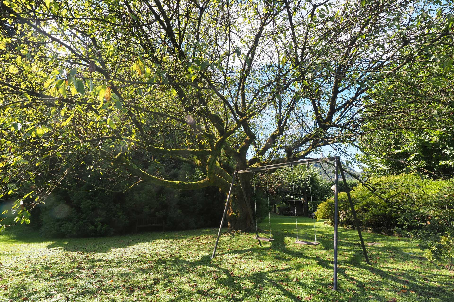 the-greenhouse-lake-como_house_lake-como-italy_exterior-swings.jpg