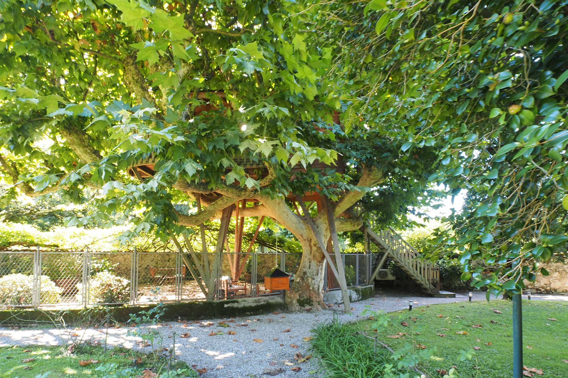the-greenhouse-lake-como_house_lake-como-italy_exterior-treehouse.jpg