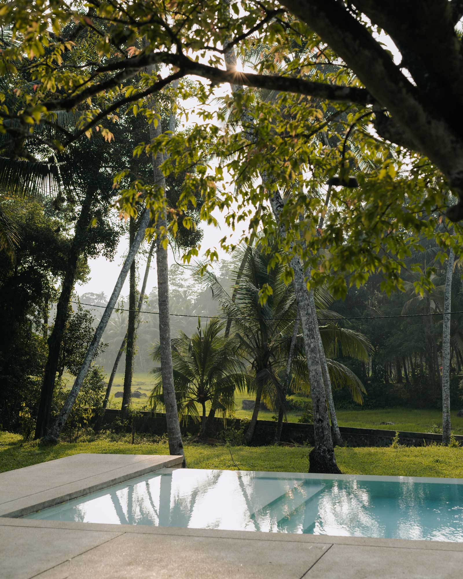 the-sa-house_villa_talpe-sri-lanka_exterior-pool-detail.jpg
