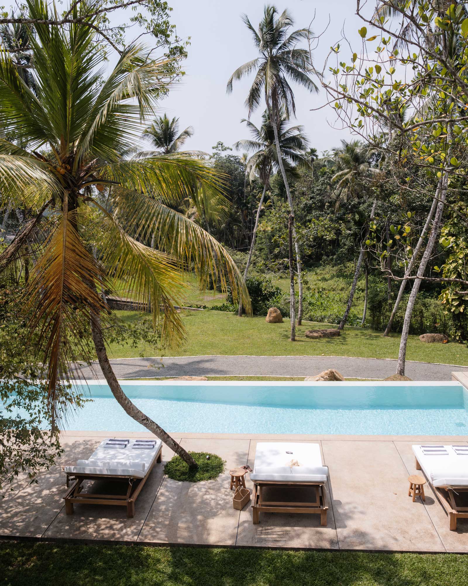 the-sa-house_villa_talpe-sri-lanka_exterior-pool-palm.jpg
