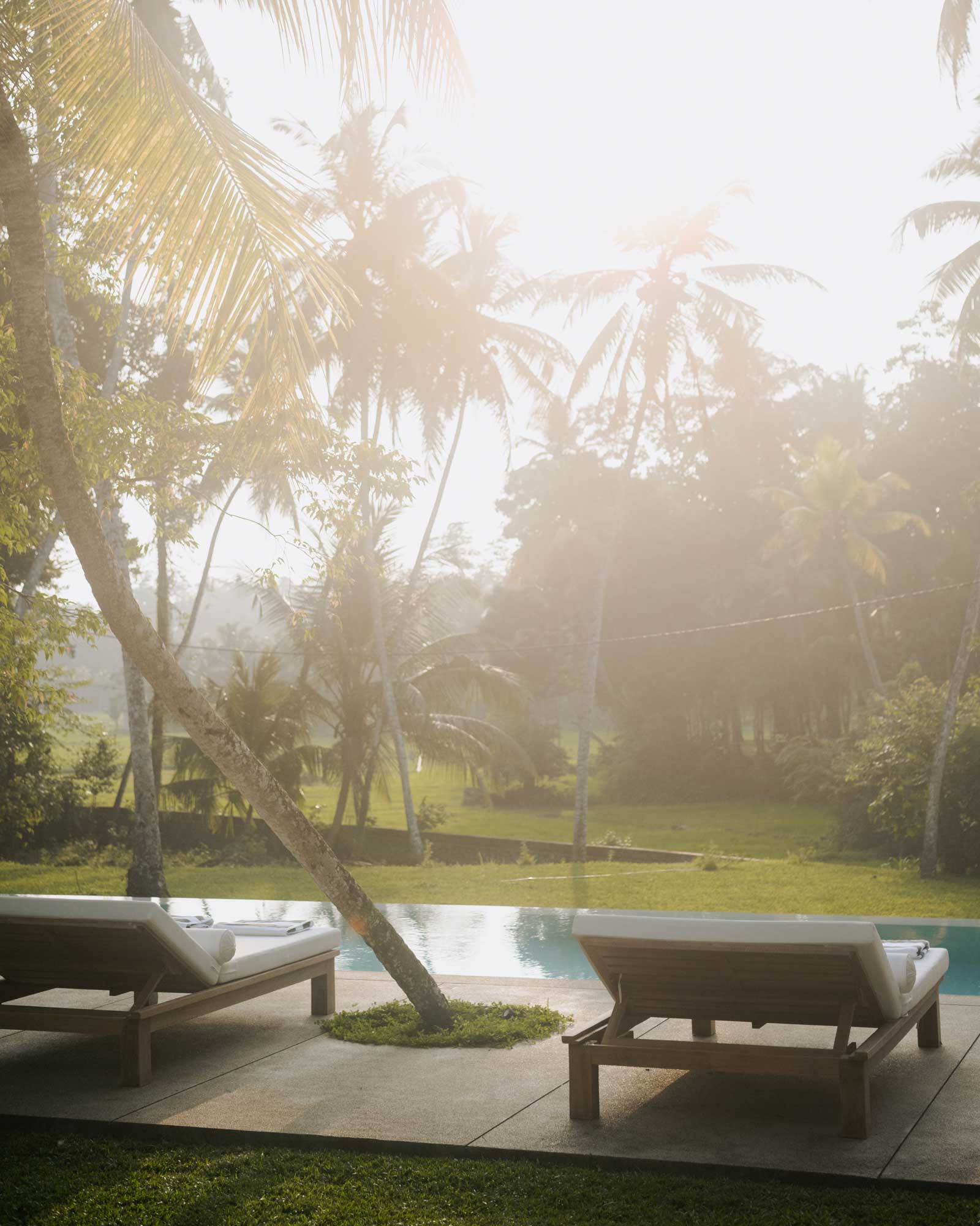 the-sa-house_villa_talpe-sri-lanka_exterior-pool-palms.jpg