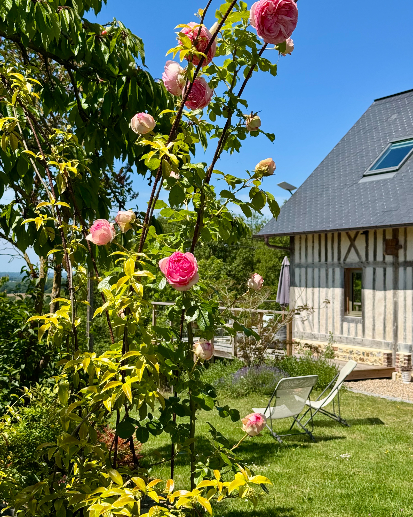 le-clos-du-haut_farmhouse_normandy-france_exterior-flowers.jpg