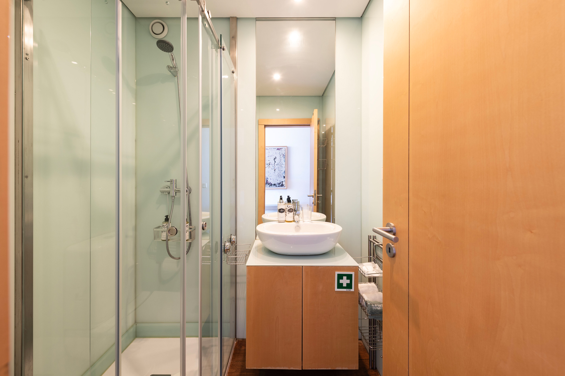 porto-rooftop-apartment_apartment_porto-portugal-interior-bathroom.jpg