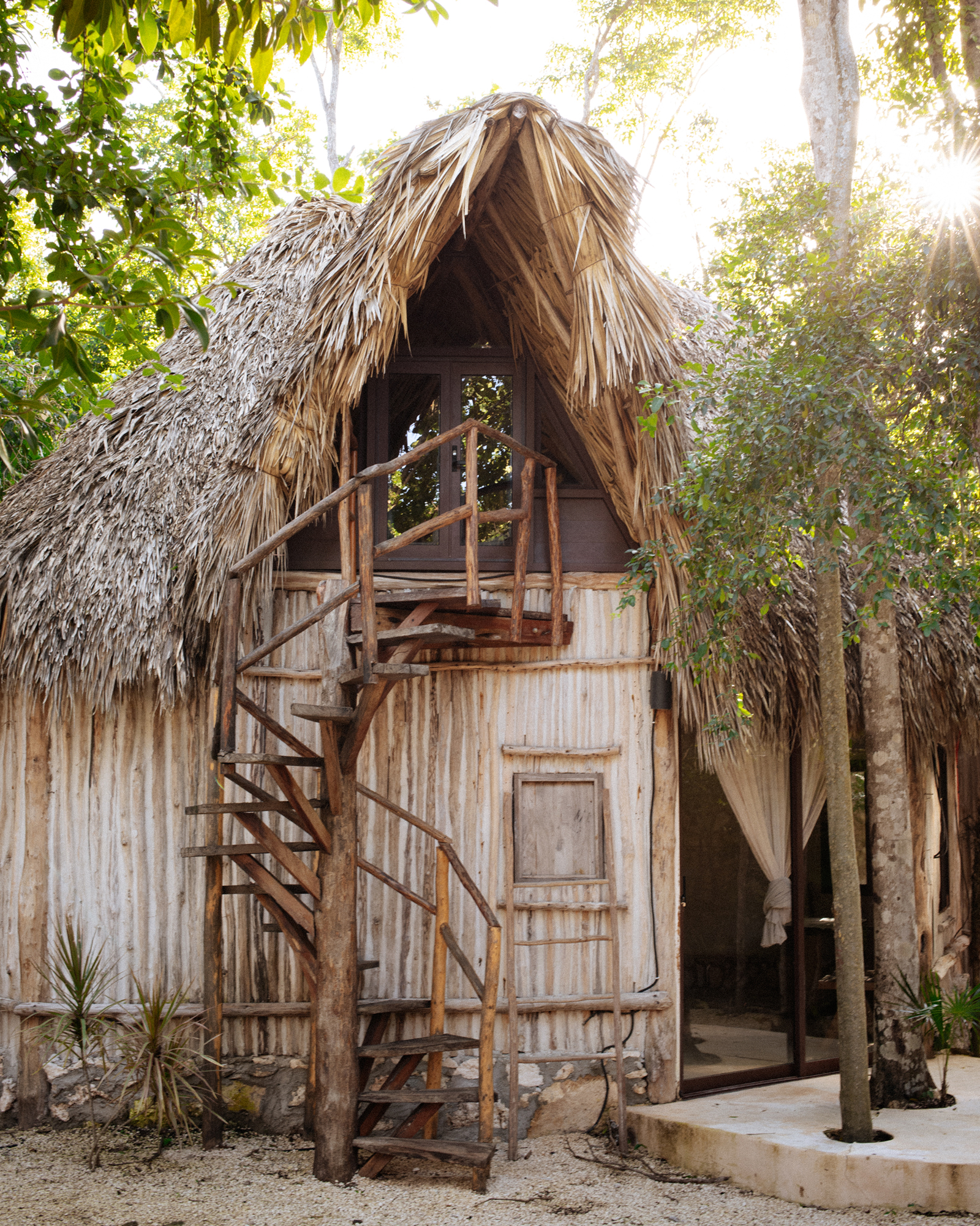 najil-chak_villa_tulum-mexico_exterior-tree.jpg