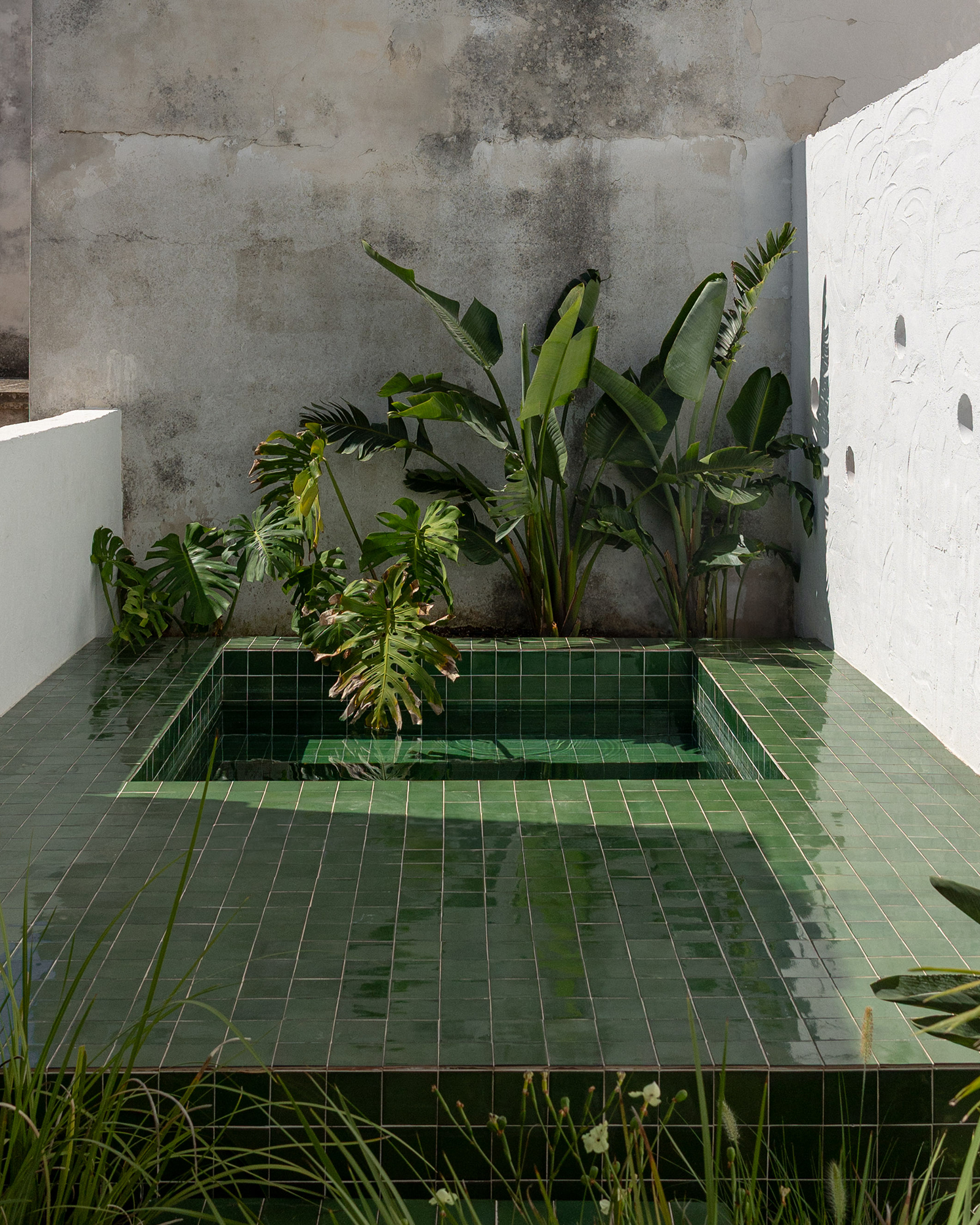 casa-lagilda_townhouse_apulia-italy_exterior-plants.jpg