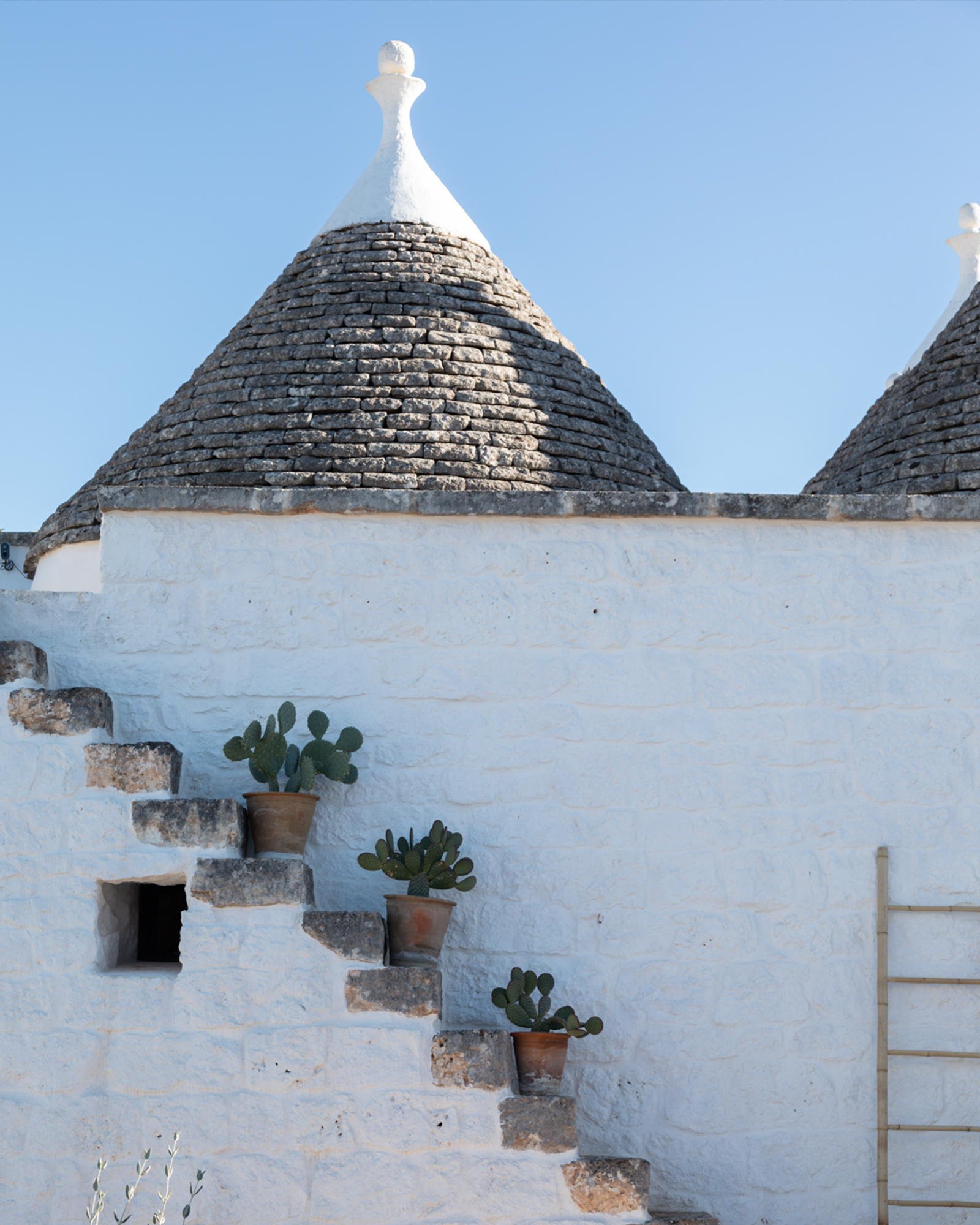 trulli-ottocappelli_villa_apulia-italy_exterior-cacti.jpg