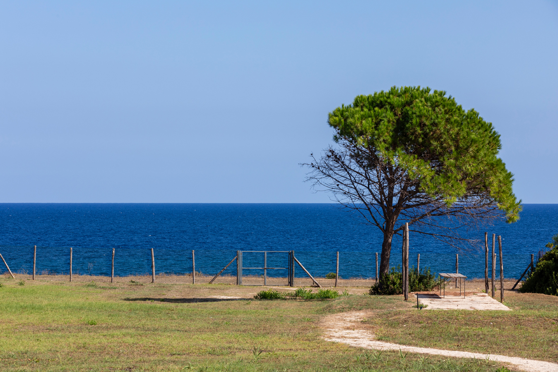 cala-due-seafront-villa_villa_sicilia-italy_exterior-tree.jpg