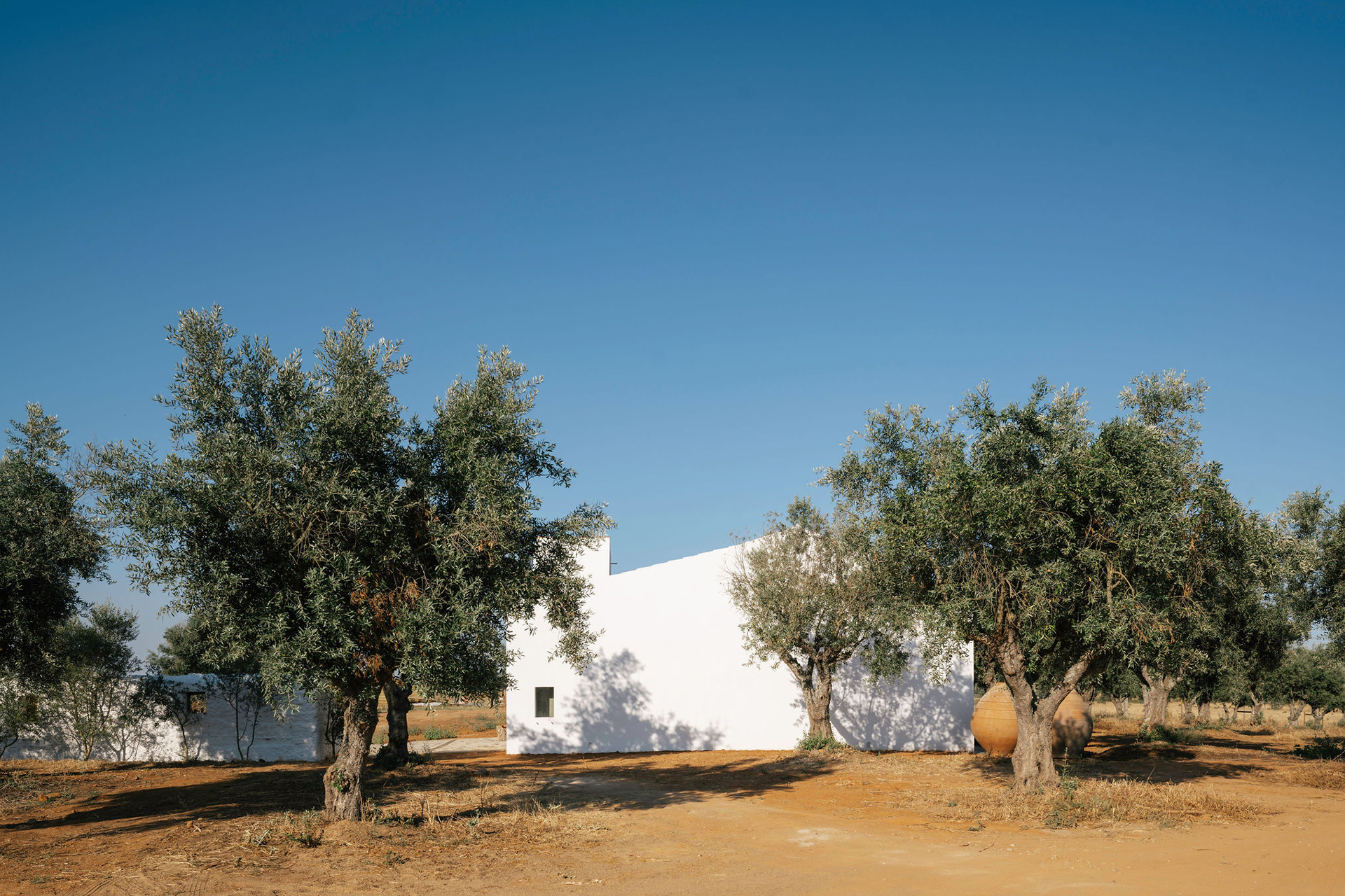 montinhos_estate_setubal-portugal_exterior-trees.jpg
