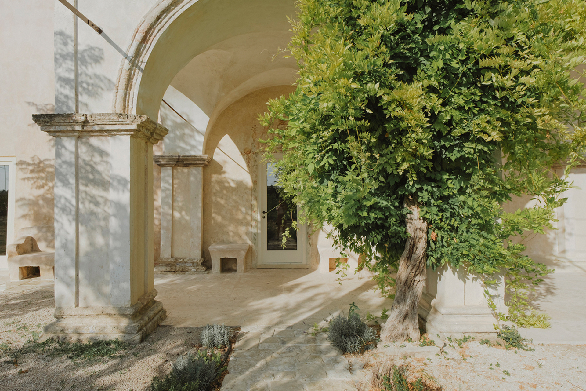 villa-prete_estate_puglia-italy_exterior-tree.jpg