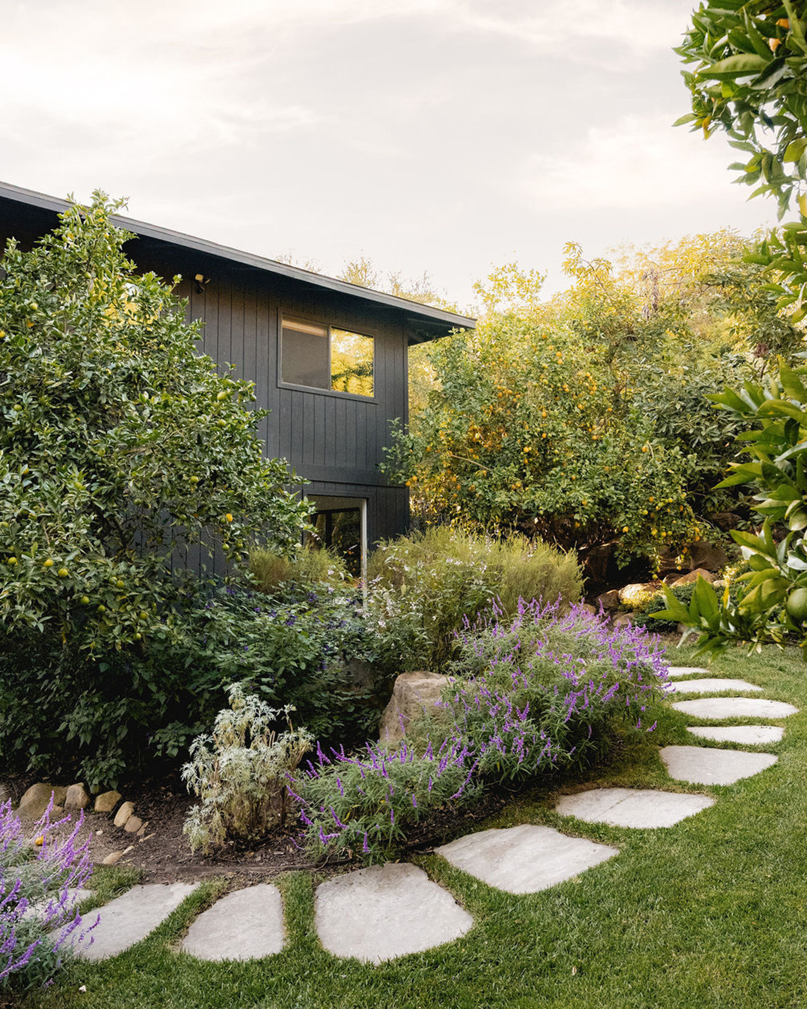 montecito-modern_house_montecito-california-usa_exterior-path.jpg