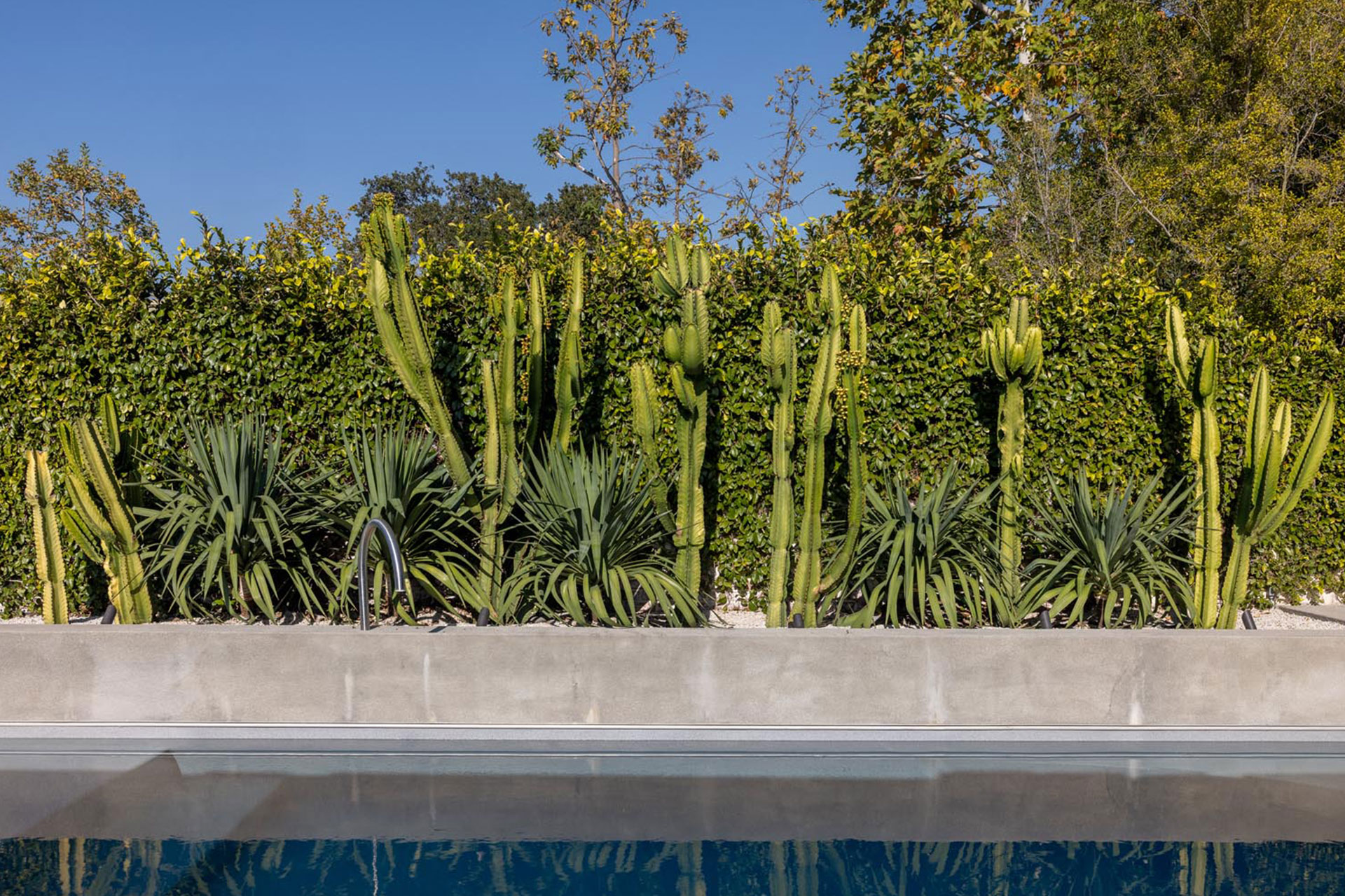 gallery-house_house_los-angeles-california-usa_exterior-pool.jpg