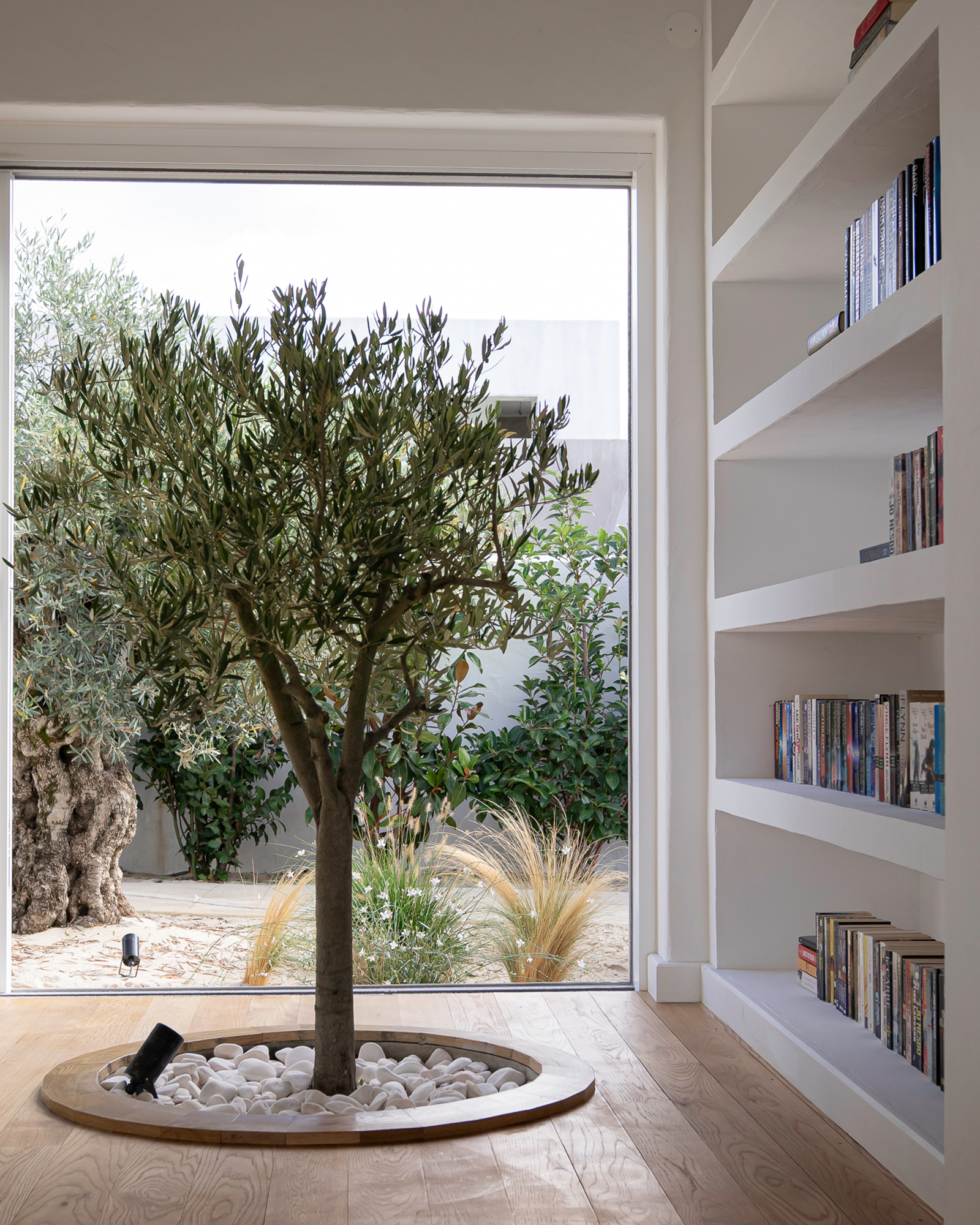 casa-ds-oliveiras_villa_melides-setubal-portugal_interior-tree-window.jpg
