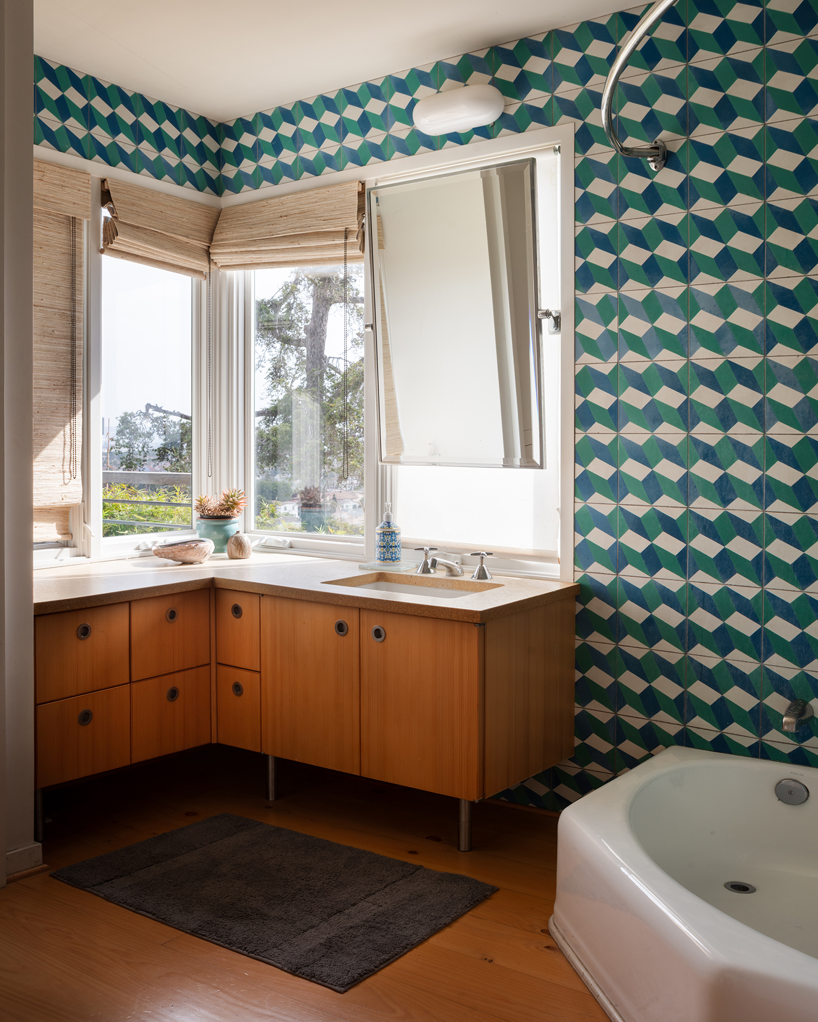 point-loma-casita_house_san-diego-usa_interior-bath-room.jpg