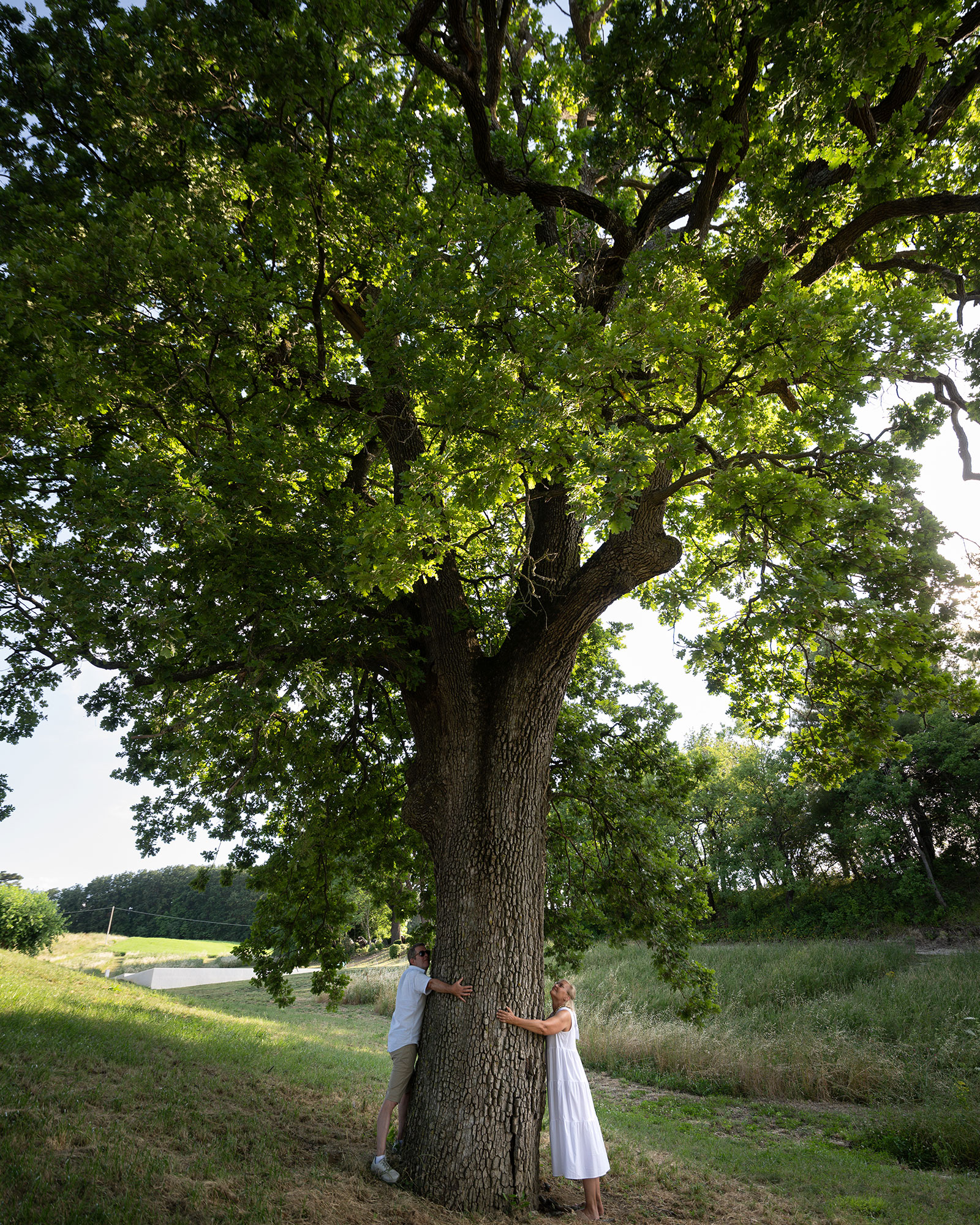 casa-fugiano_farmhouse_marche-italy_exterior-tree.jpg