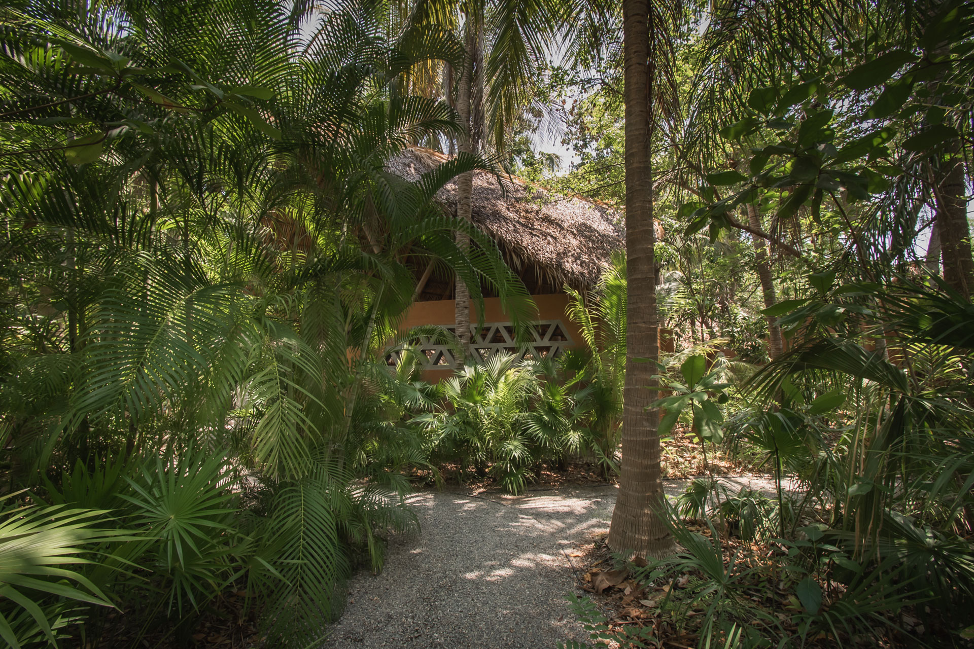 el-palmar_villa_oaxaca-mexico_exterior-palms.jpg