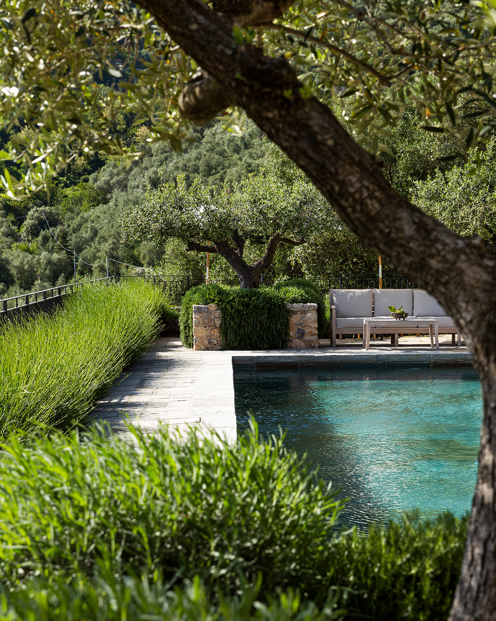 villa-tomeoni_farmhouse_tuscany-italy_exterior-detail-pool.jpg