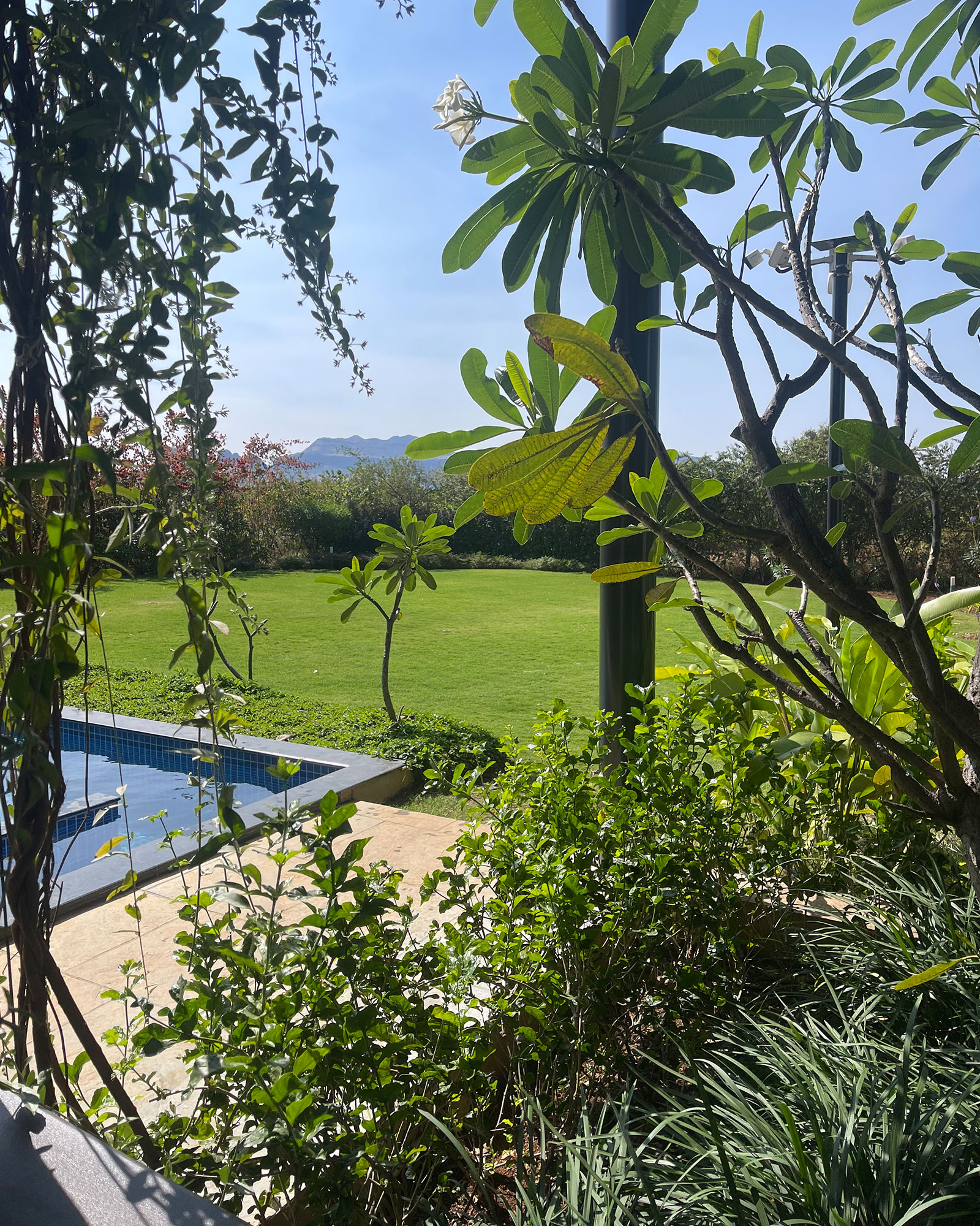the-open-house-at-saukhya-farm_estate_Maharashtra-india_exterior-pool-detail.jpg
