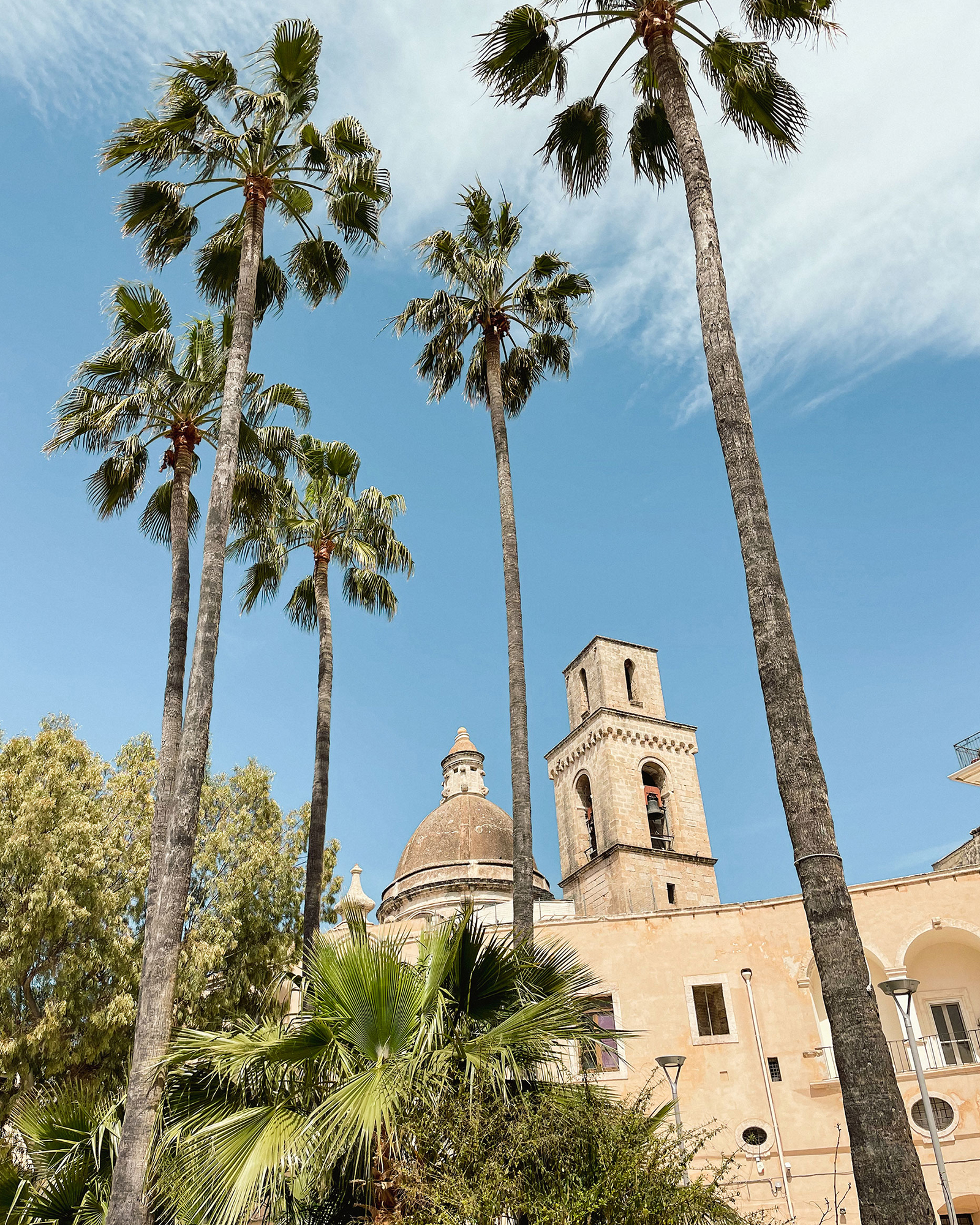 villa-tomeoni_apartment_puglia-italy_exterior-palms.jpg