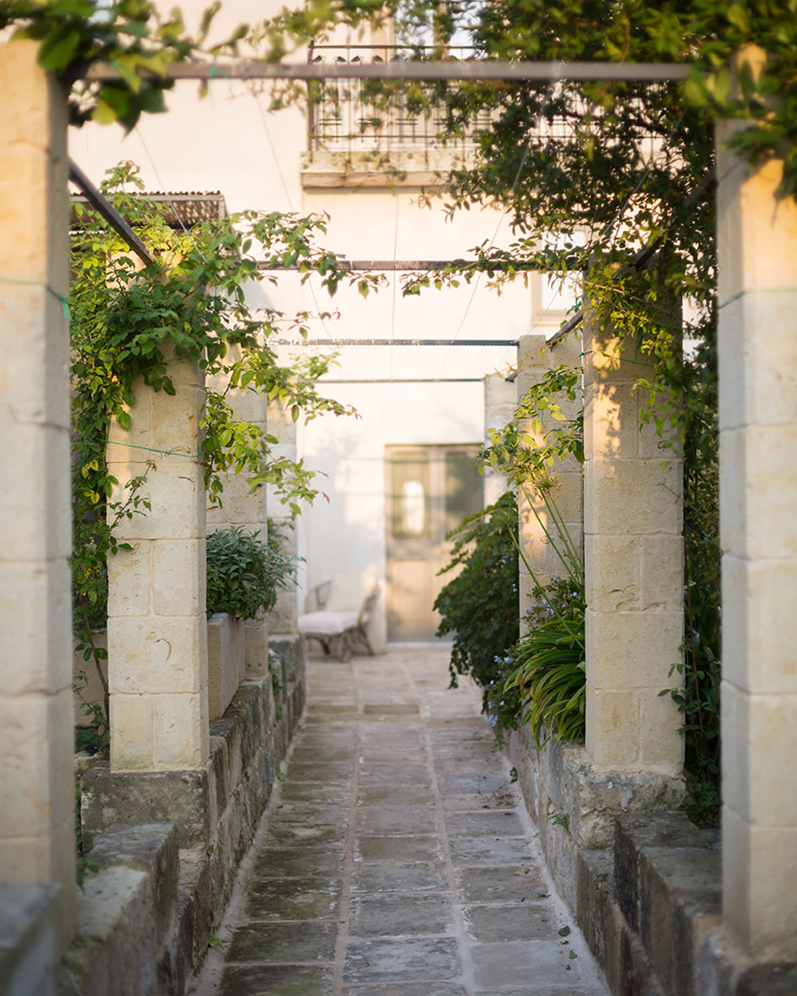 dimora-salento-dreams_villa_lecce-italy_exterior-design-plants.jpg
