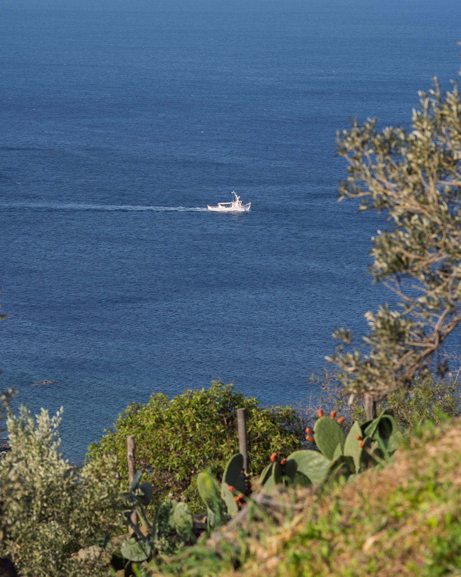 villa-riza_villa_andros-greece_exterior-detail.jpg