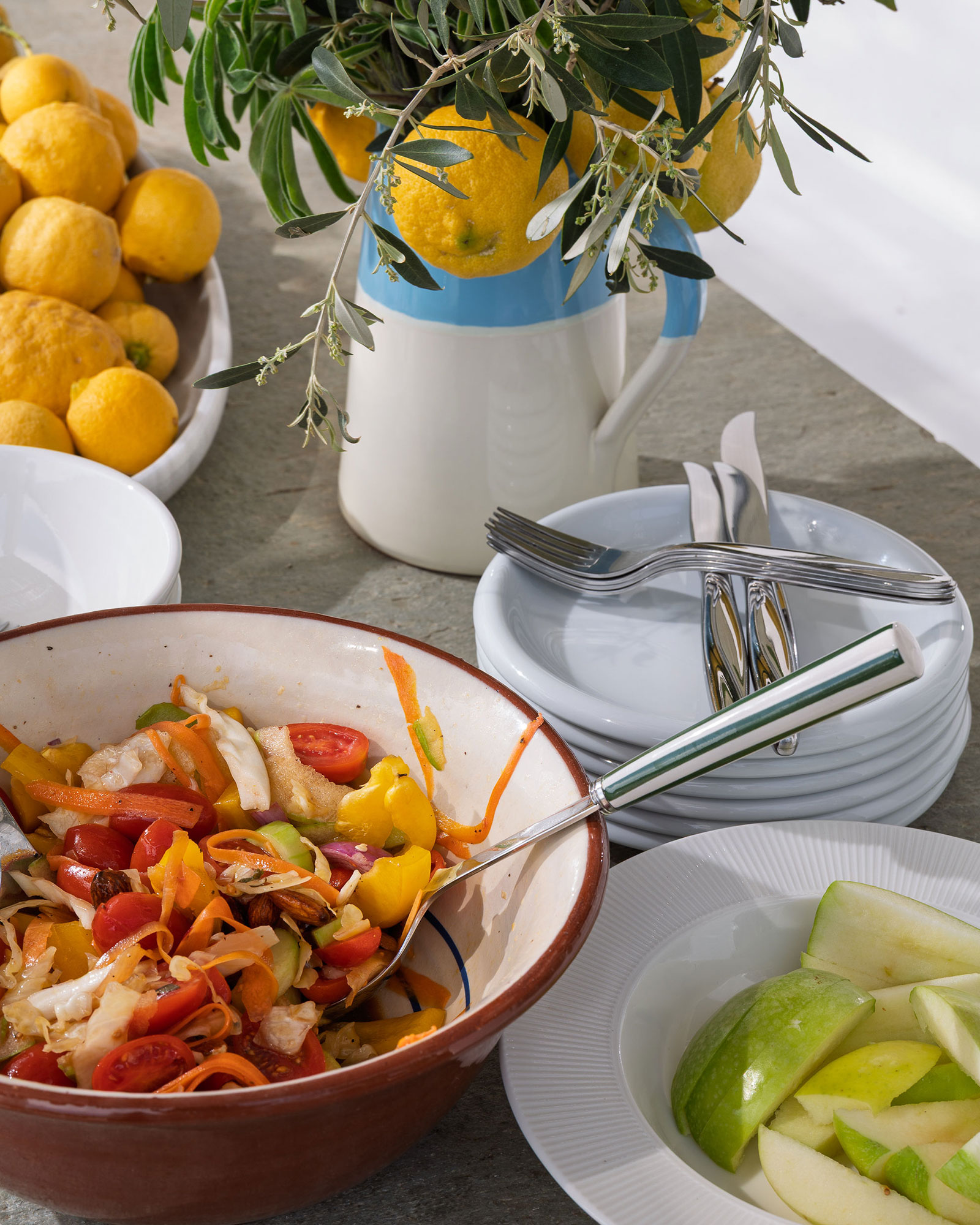 villa-riza_villa_andros-greece_exterior-food.jpg