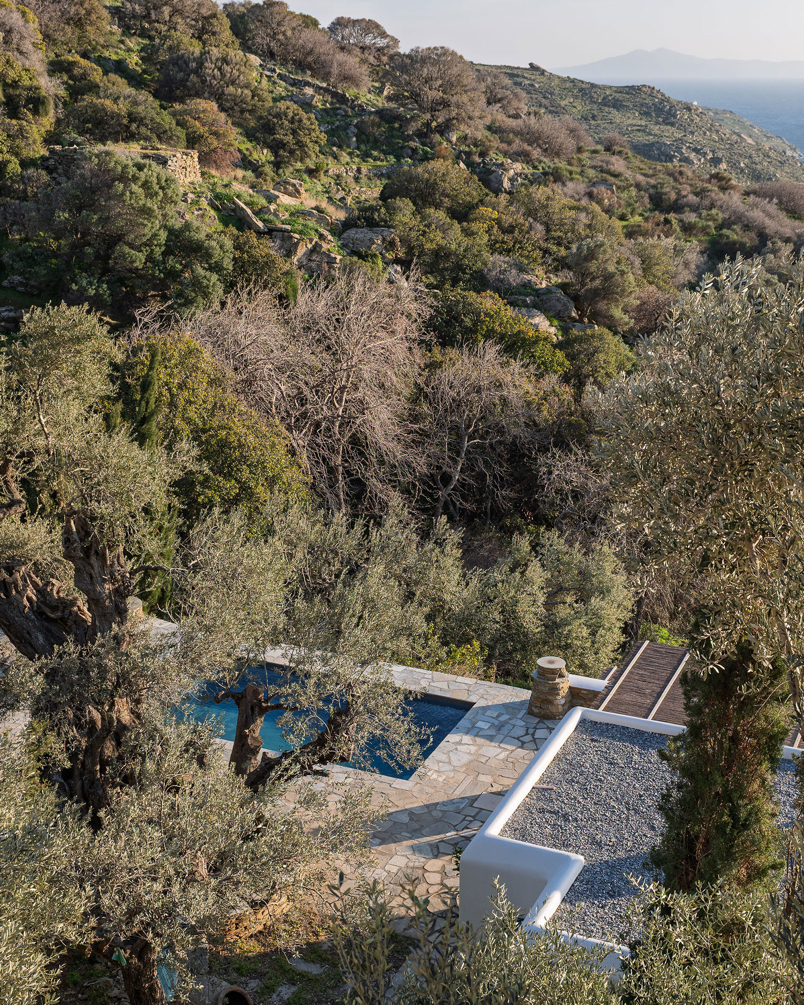 villa-riza_villa_andros-greece_exterior-view-pool.jpg