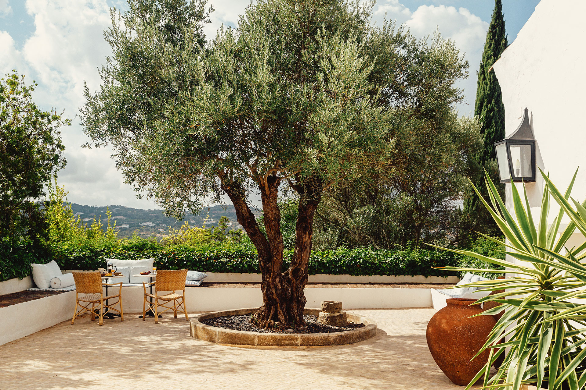 monte-da-palmeira_farmhouse_faro-portugal_exterior-tree.jpg