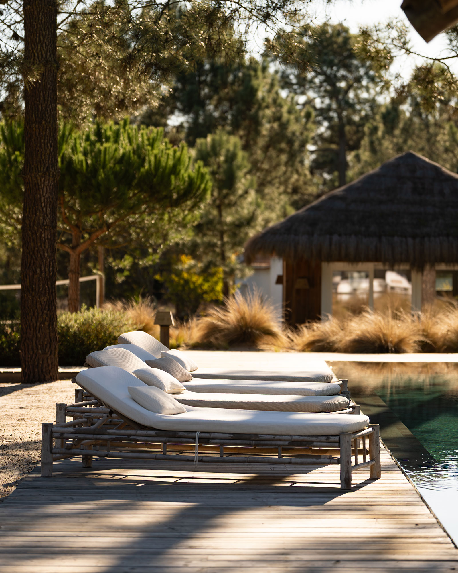villa-lime_villa_Setubal-portugal_exterior-design-space-.jpg