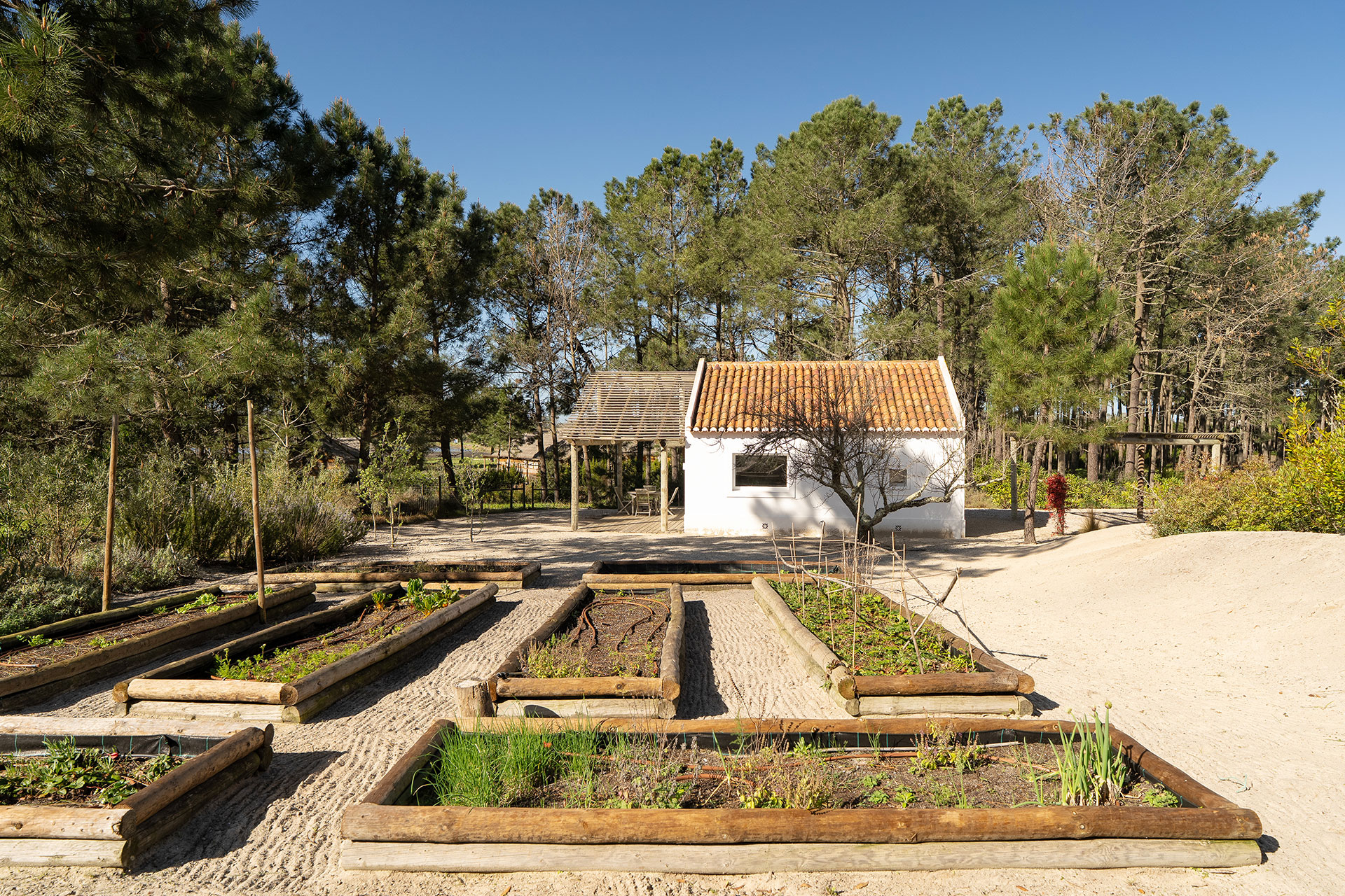 villa-lime_villa_Setubal-portugal_exterior-spae.jpg
