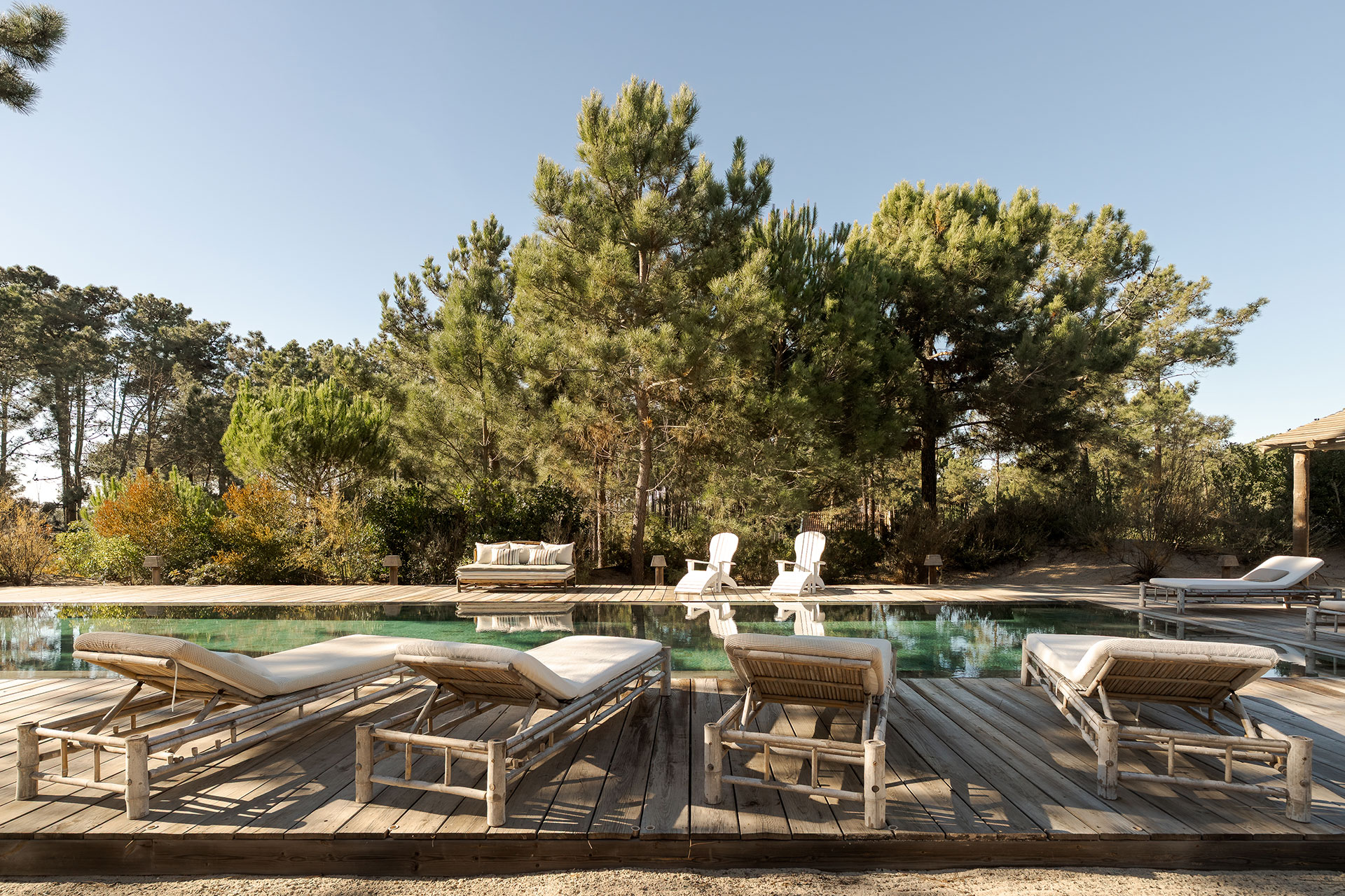 villa-lime_villa_Setubal-portugal_exterior-trees.jpg