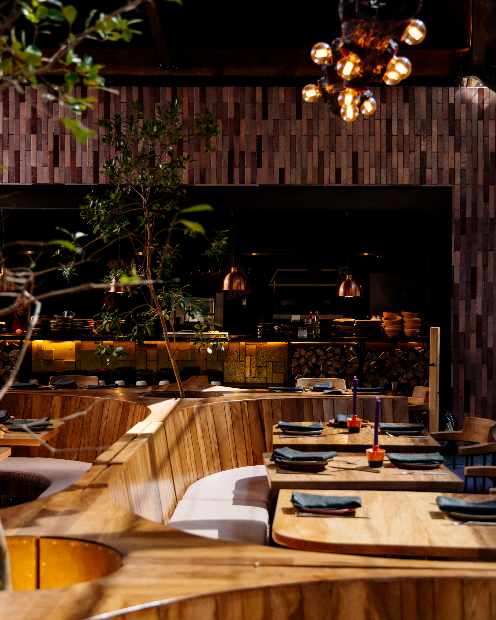 maison-celeste_guesthouse_cdmx-mexico_interior-arda.jpg