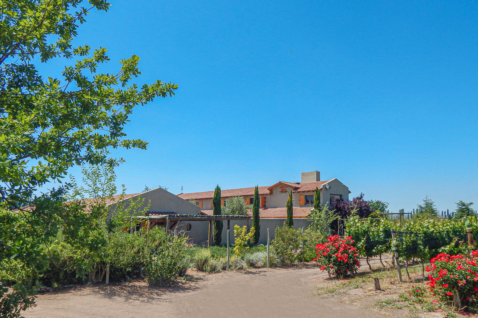 finca-la-gracia-ii_guesthouse_La-Consulta-argentina_exterior-design.jpg