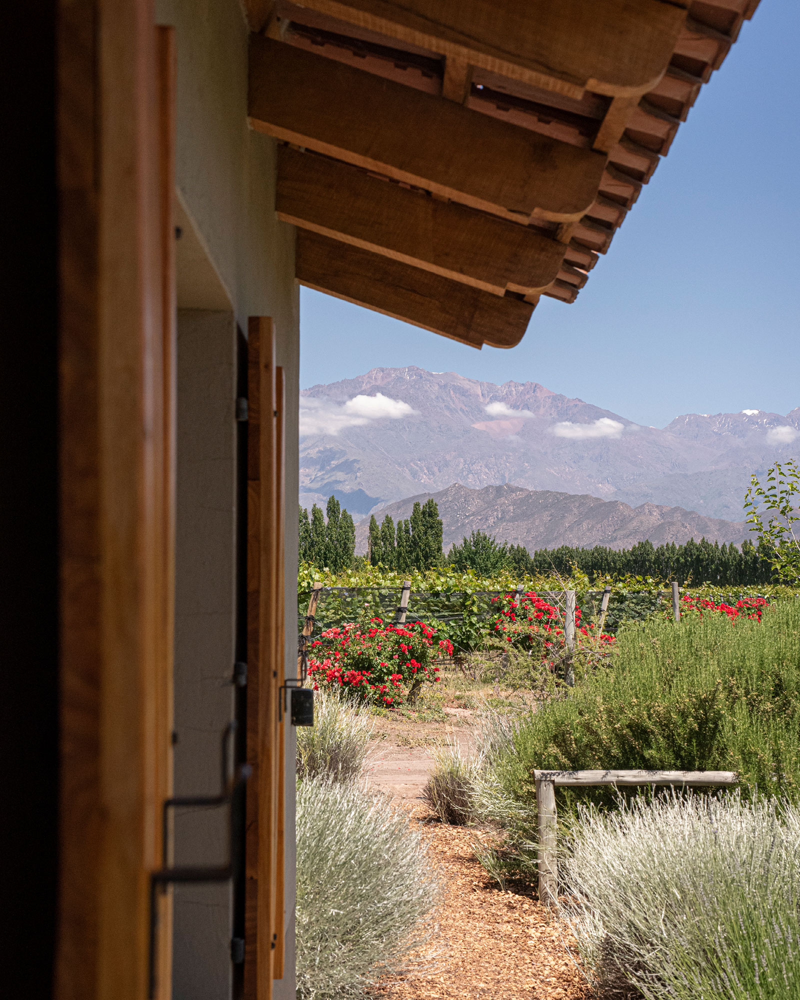 finca-la-gracia-ii_guesthouse_La-Consulta-argentina_exterior-detail-facade-view.jpg