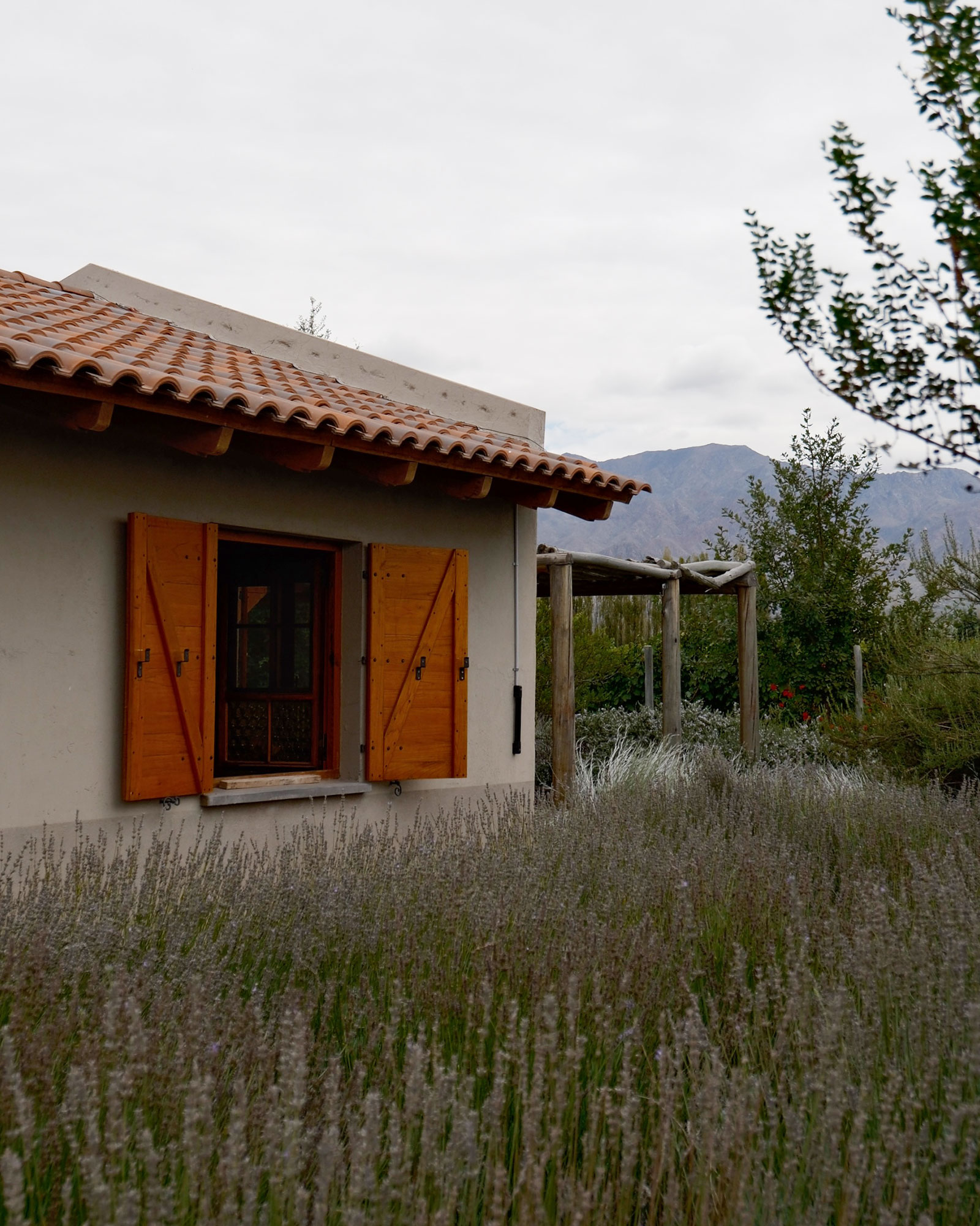 finca-la-gracia-ii_guesthouse_La-Consulta-argentina_exterior-facade-window.jpg