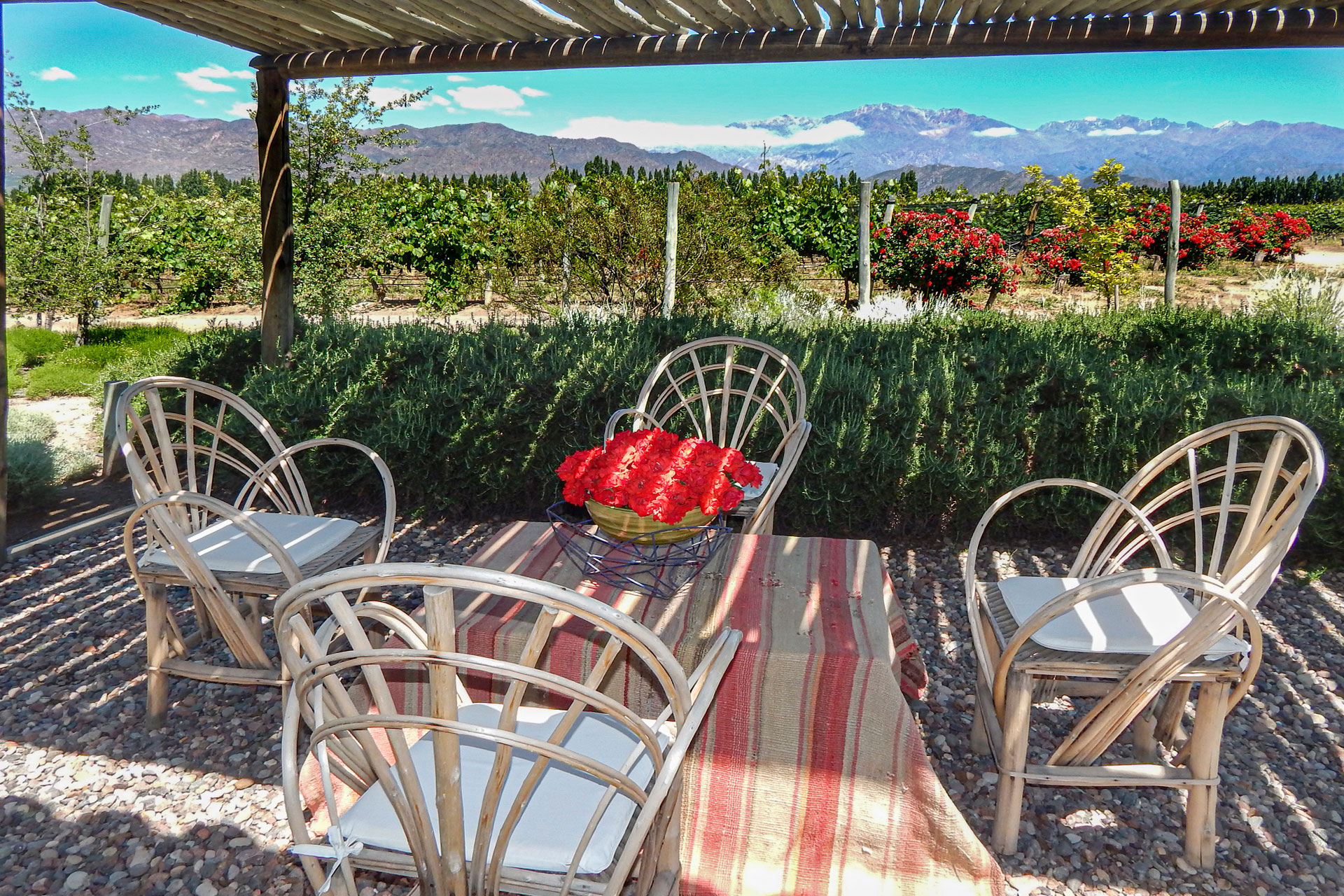 finca-la-gracia-ii_guesthouse_La-Consulta-argentina_exterior-terrace.jpg