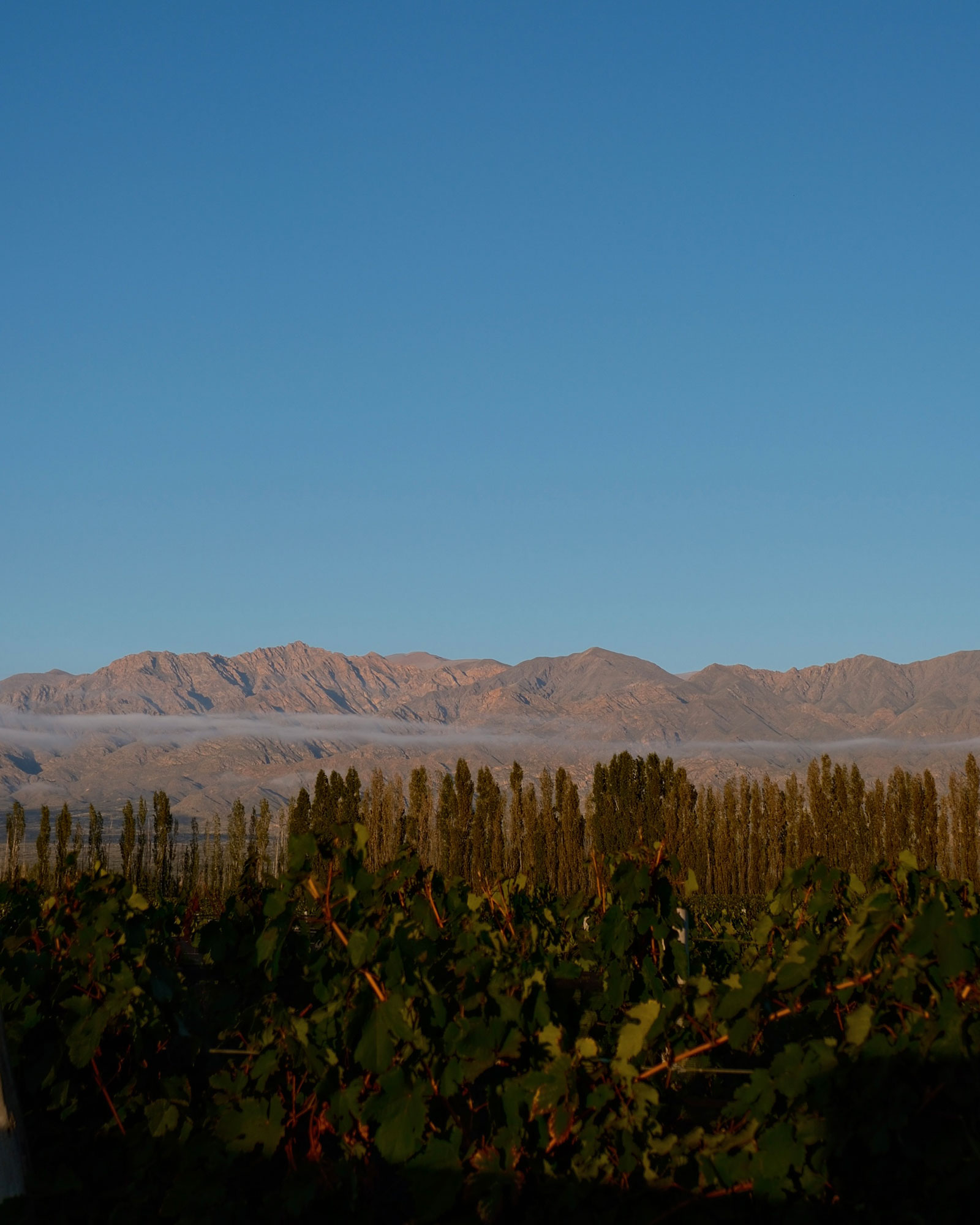 finca-la-gracia-ii_guesthouse_La-Consulta-argentina_exterior-view-space.jpg