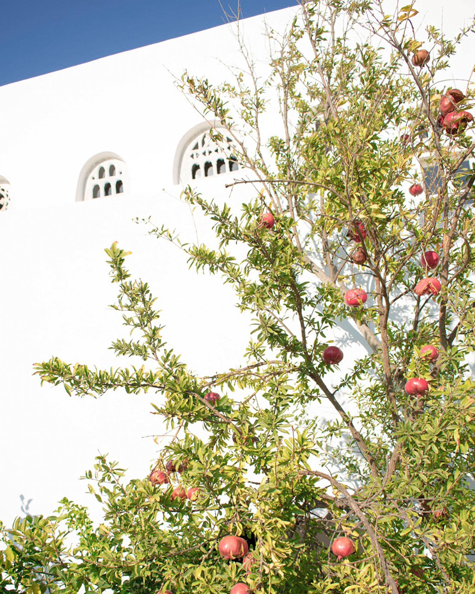 helios-cycladic-stone-house_house_tinos-greece_exterior-detail.jpg