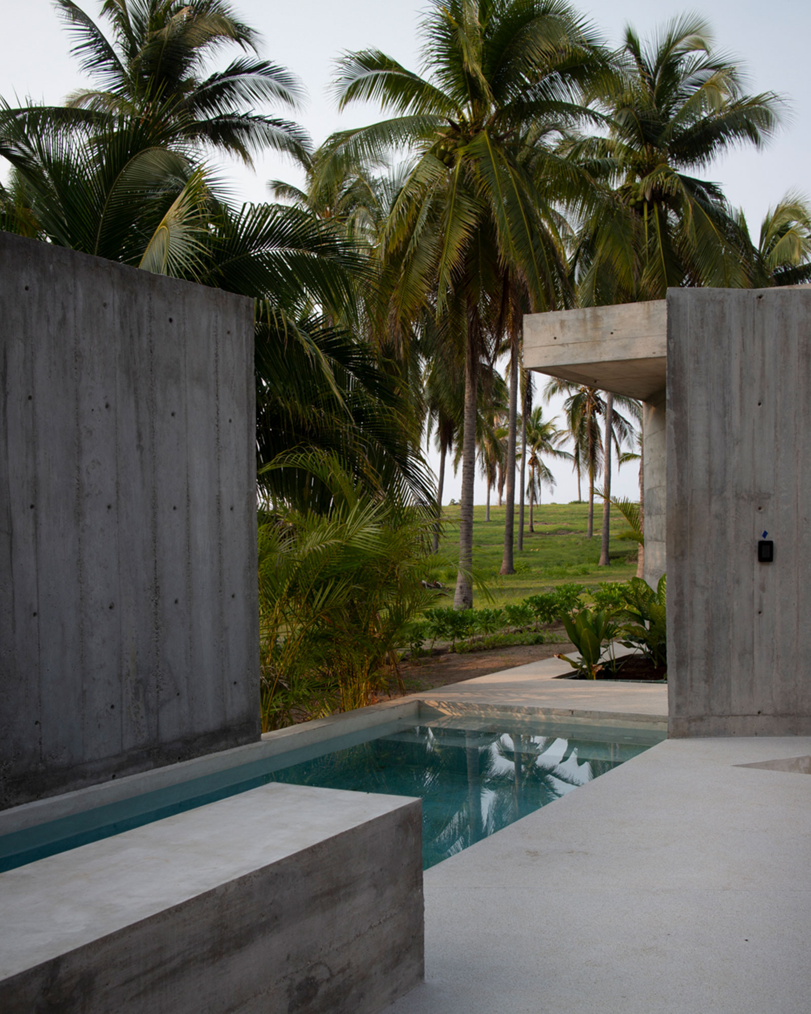 roca-ahumada_villa_puerto-escondido-oaxaca-mexico_exterior-palms.jpg