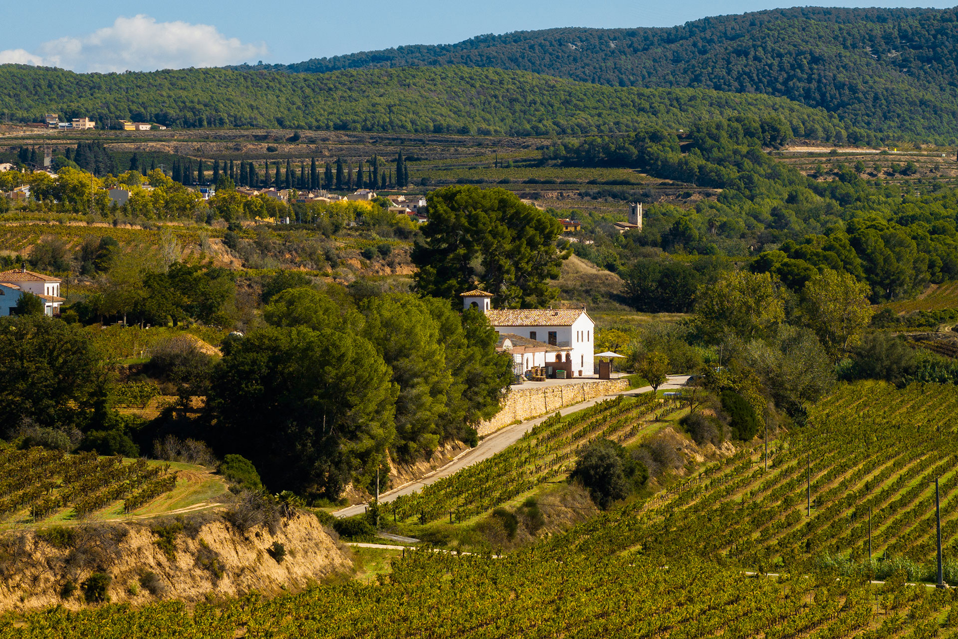 mas-grimosach_farmhouse_Catalunya-spain_exterior-drone.jpg