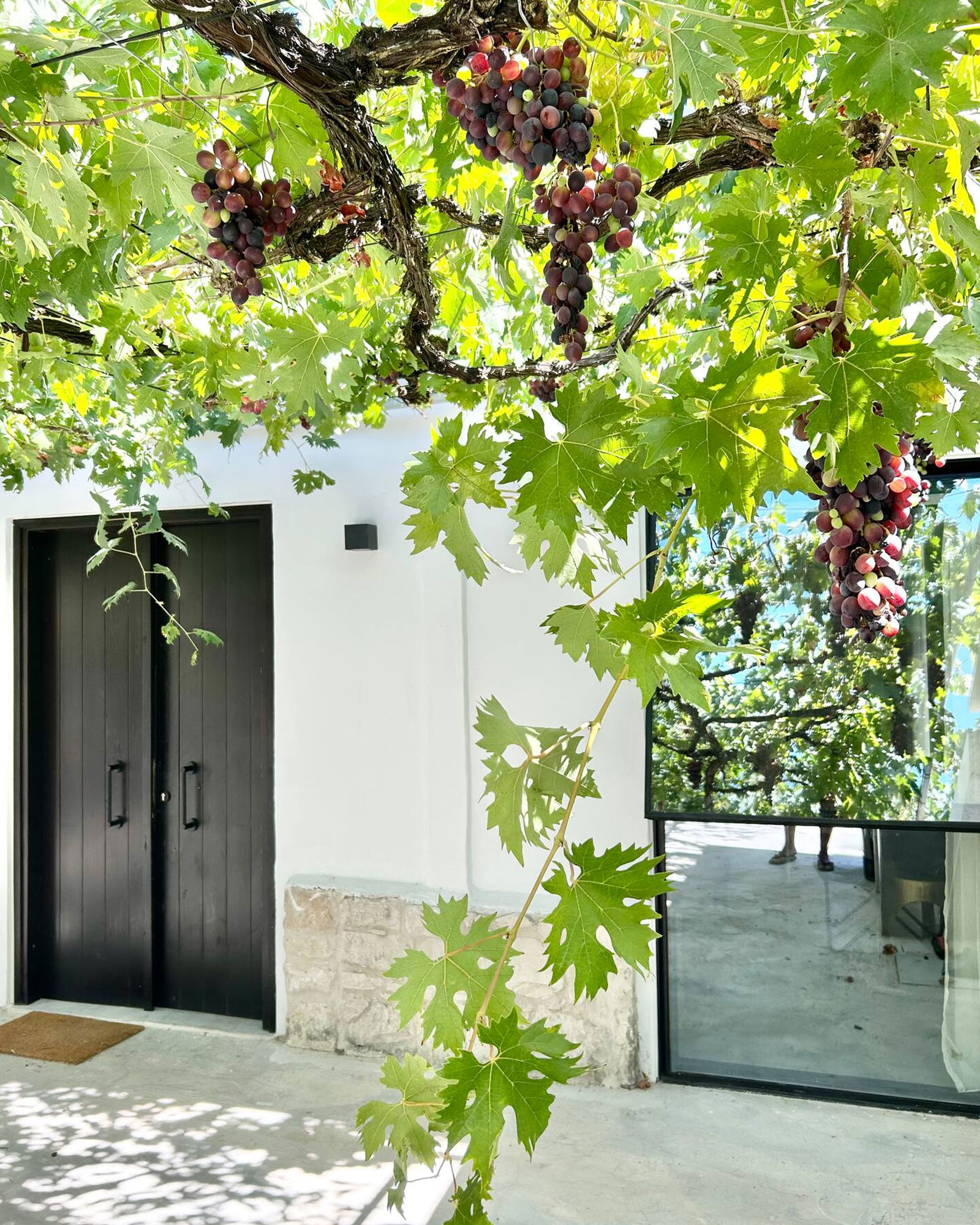 soul_house_Paphos-cyprus_exterior.jpg