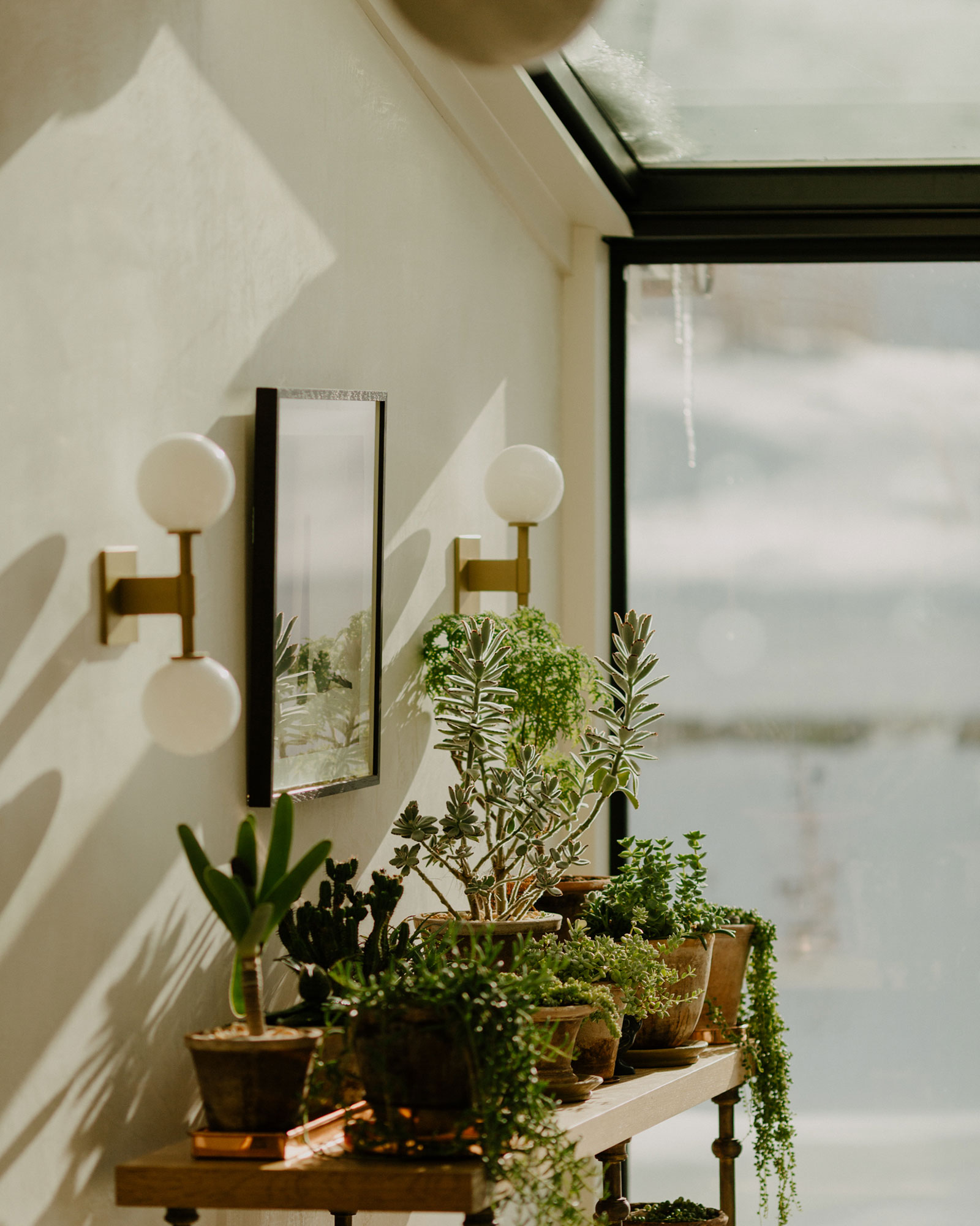 morningside_house_Massachusetts-usa_interior-plants-detail.jpg