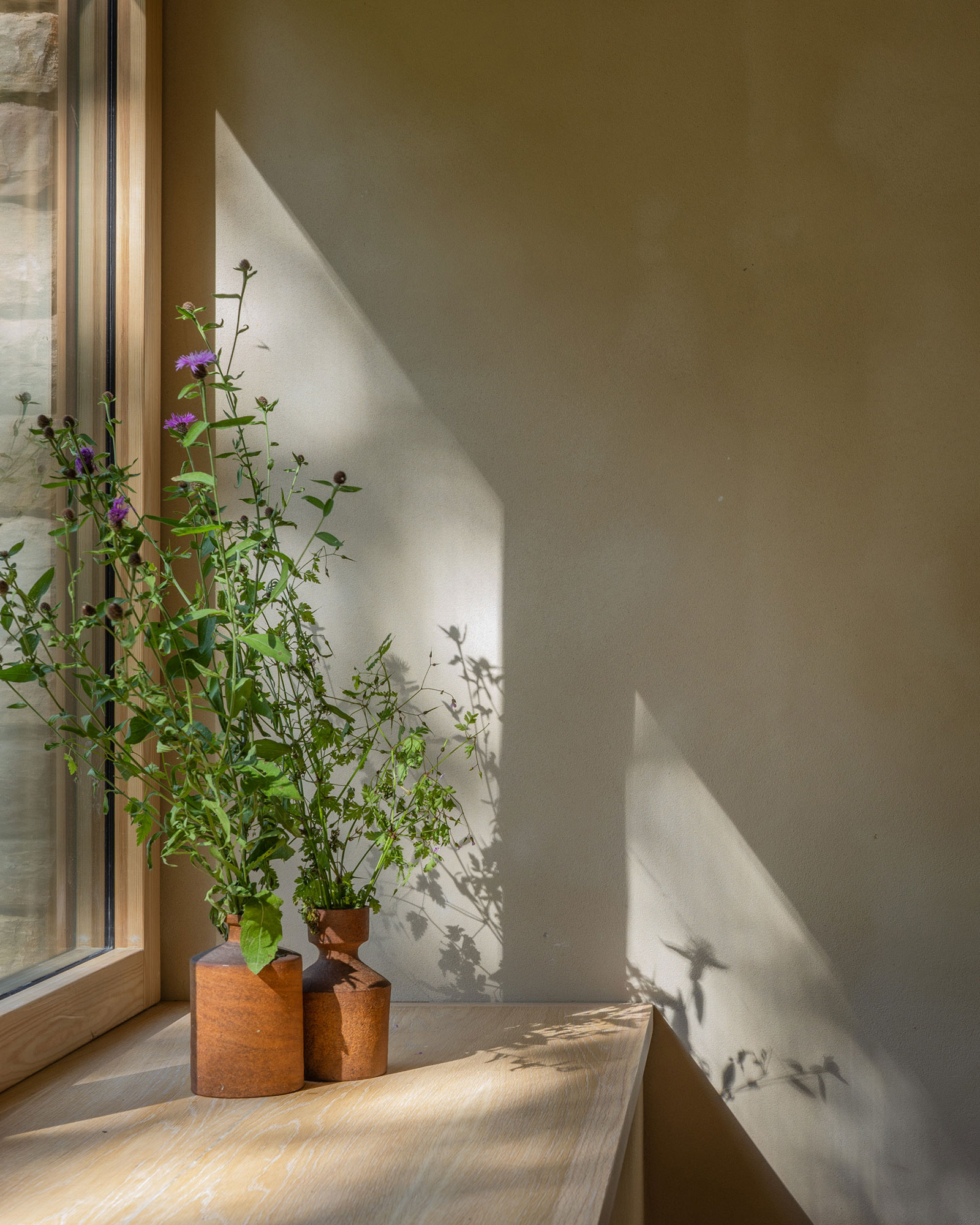 casa-minima_house_selaya-Cantabria-spain_interior-plant.jpg