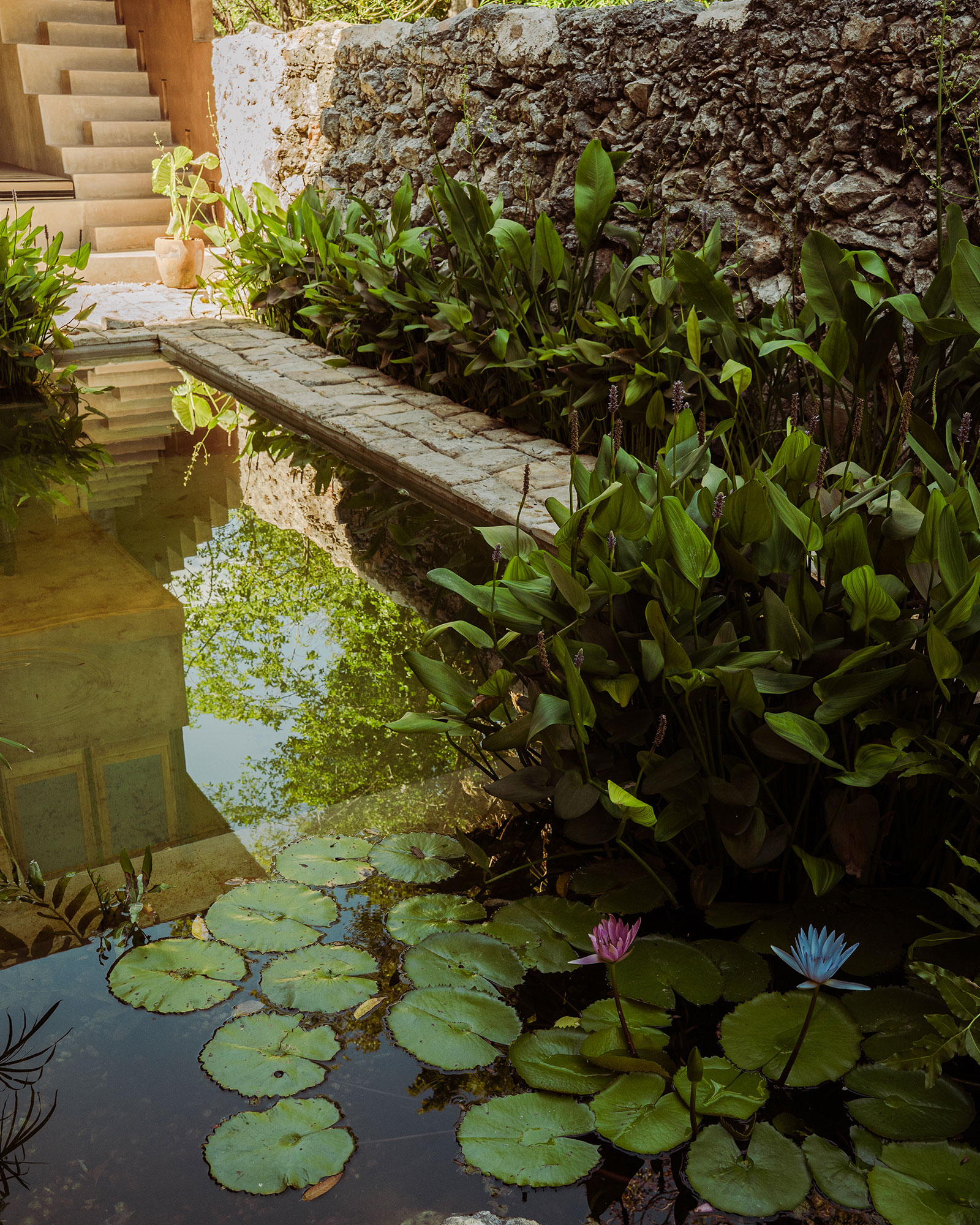agua-en-flor-by-boutique_townhouse_merida-mexico_exterior-pond.jpg
