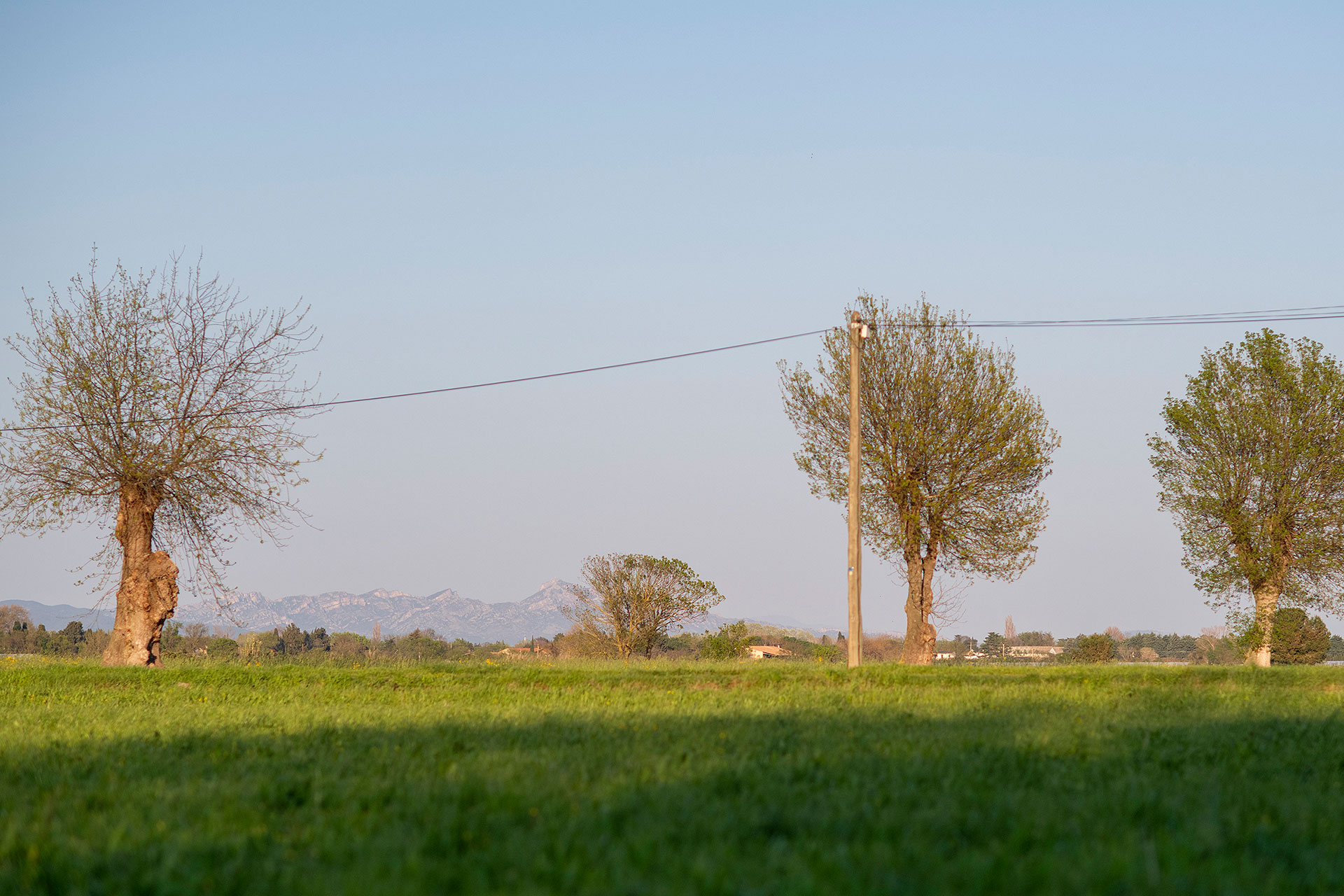 mas-celeste_farmhouse_arles-france_exterior-view.jpg